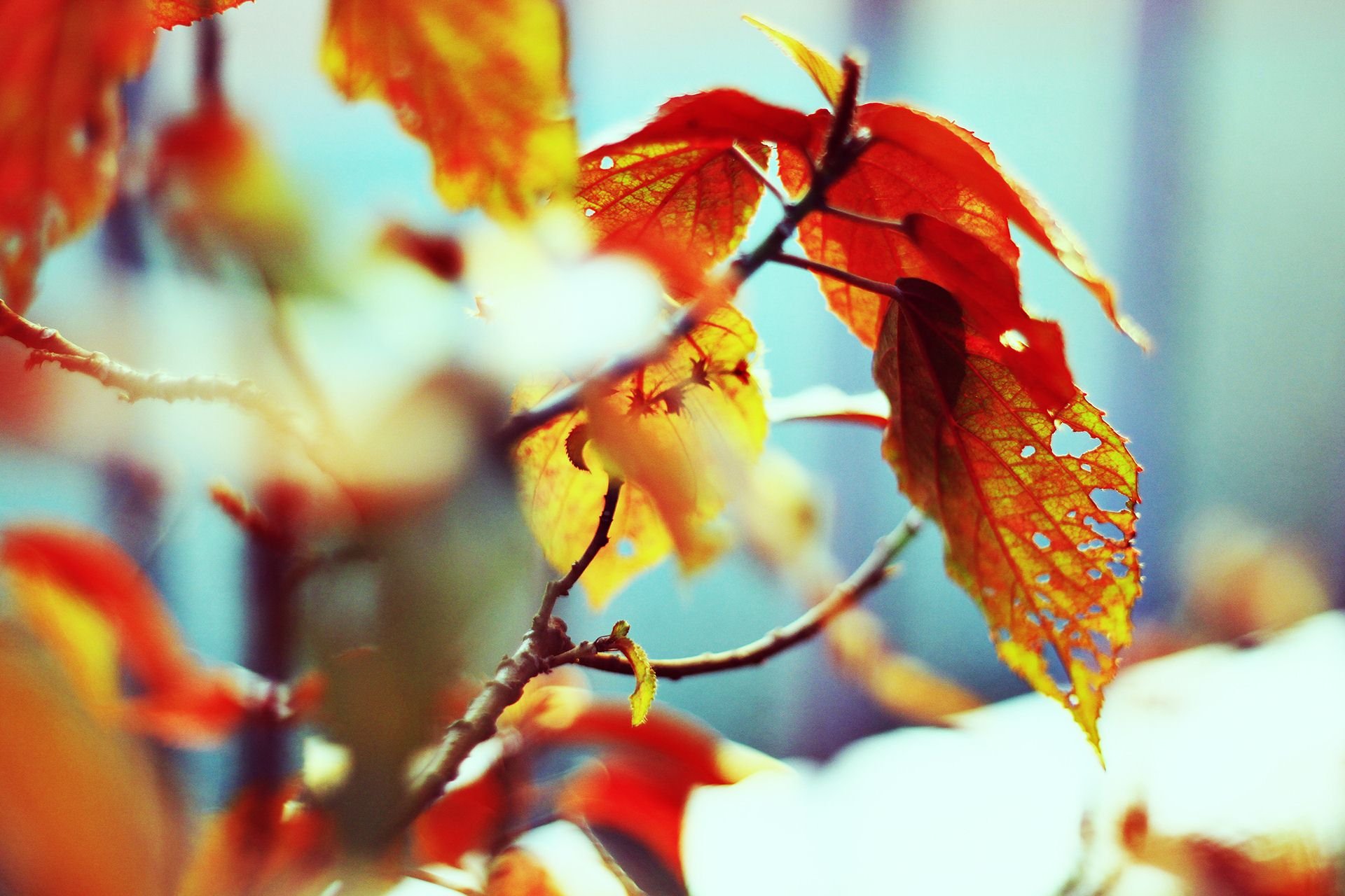 斑驳,风景,怀旧,严宝平,YBP摄影,儿童桌面专用