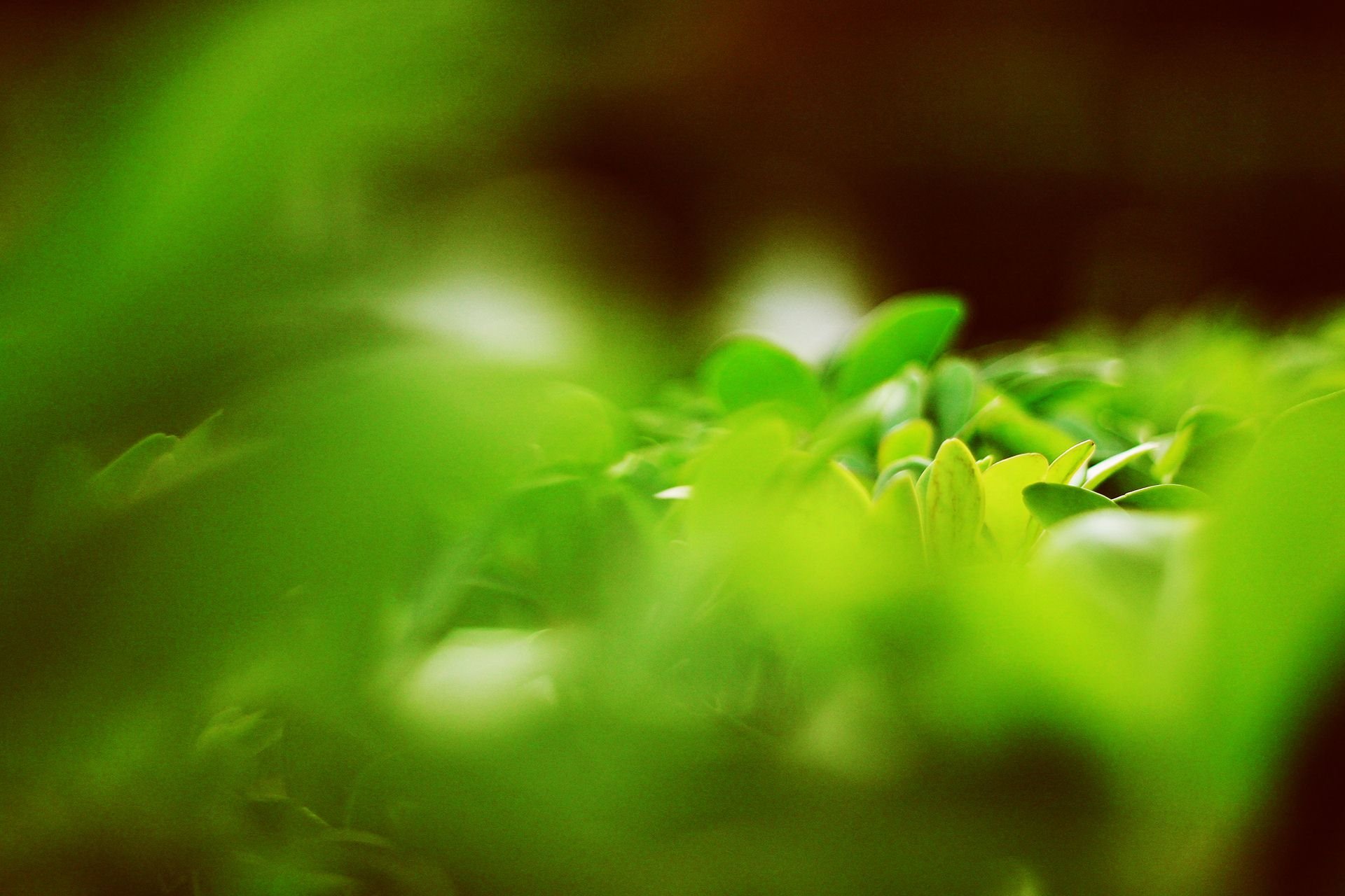 斑驳,风景,怀旧,严宝平,YBP摄影,儿童桌面专用