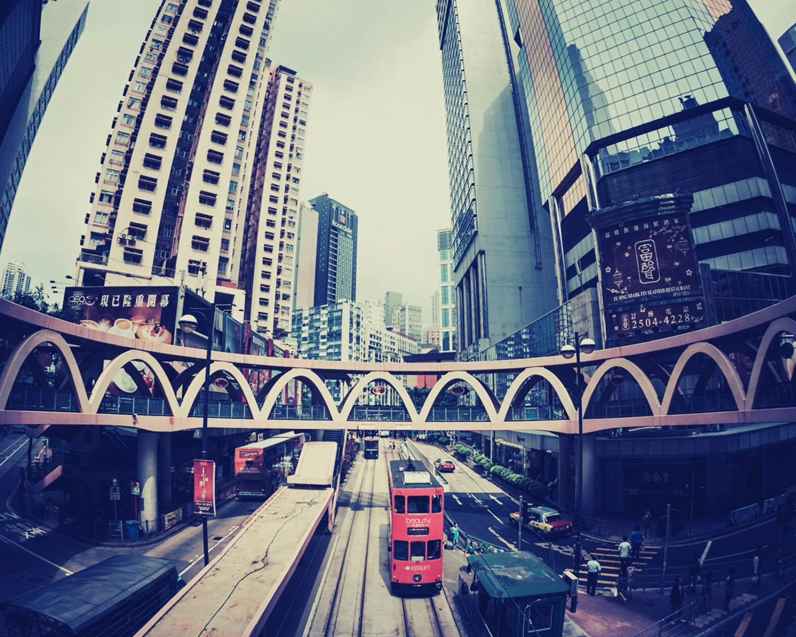 风景,儿童桌面专用