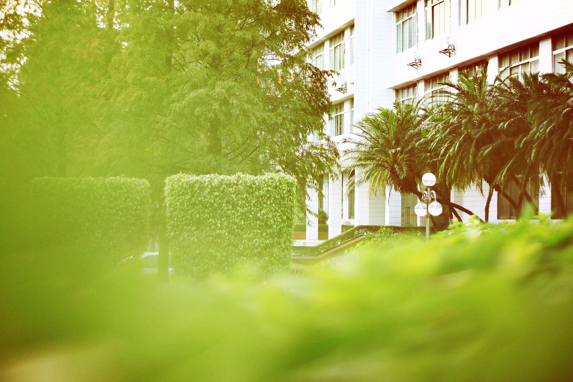 斑驳,风景,怀旧,严宝平,YBP摄影,儿童桌面专用