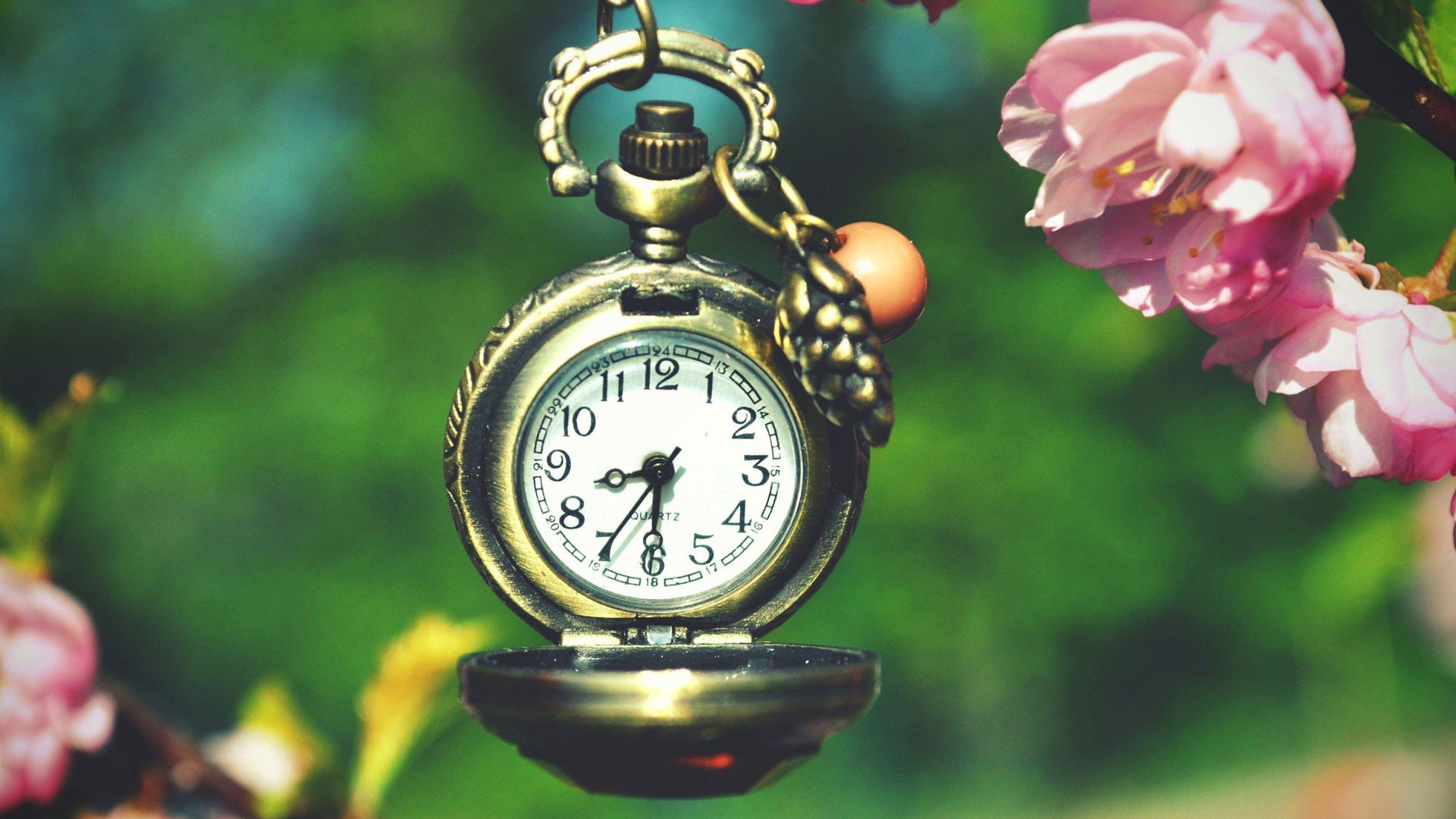 小清新,儿童桌面专用