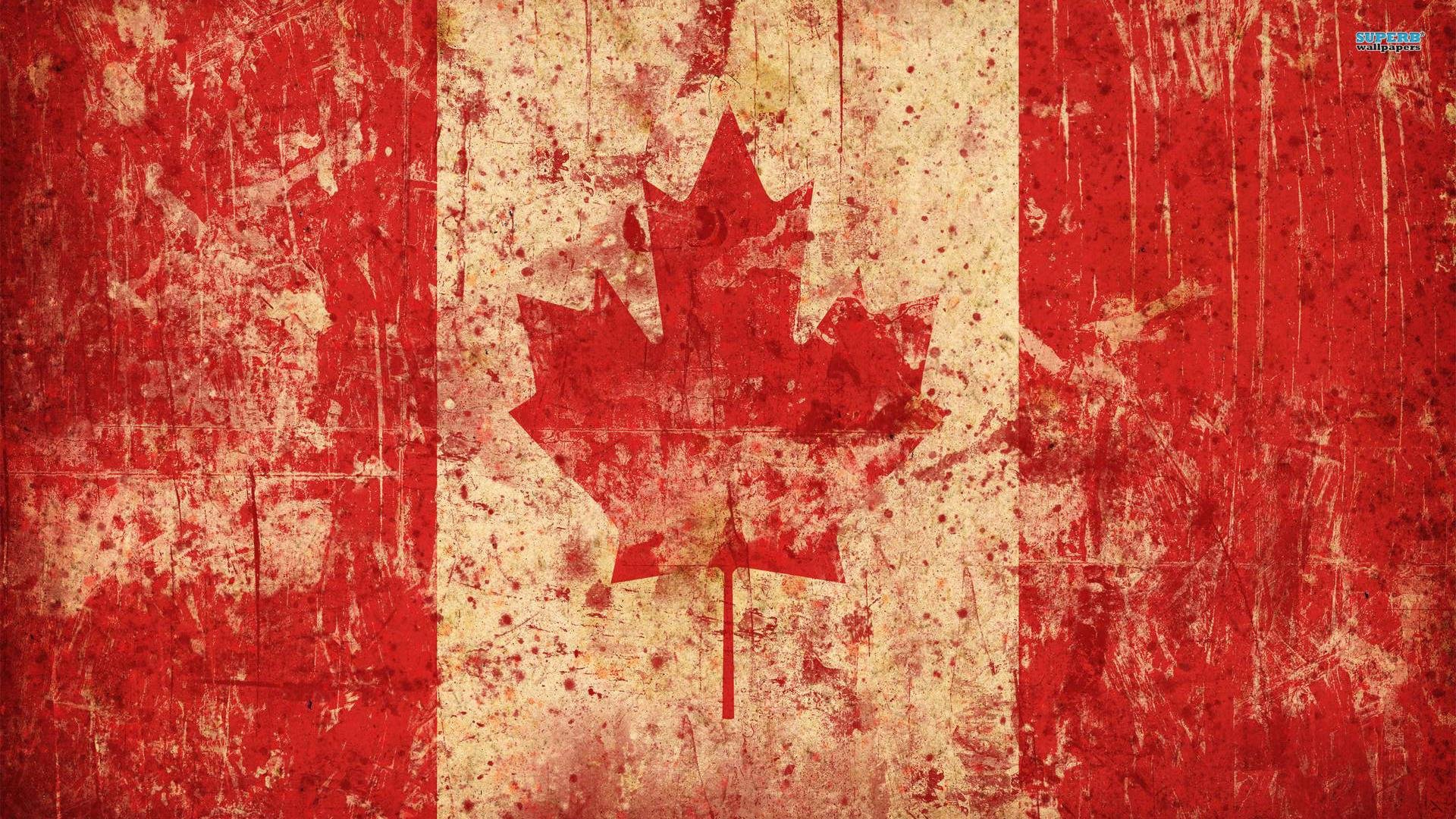 创意,儿童桌面专用