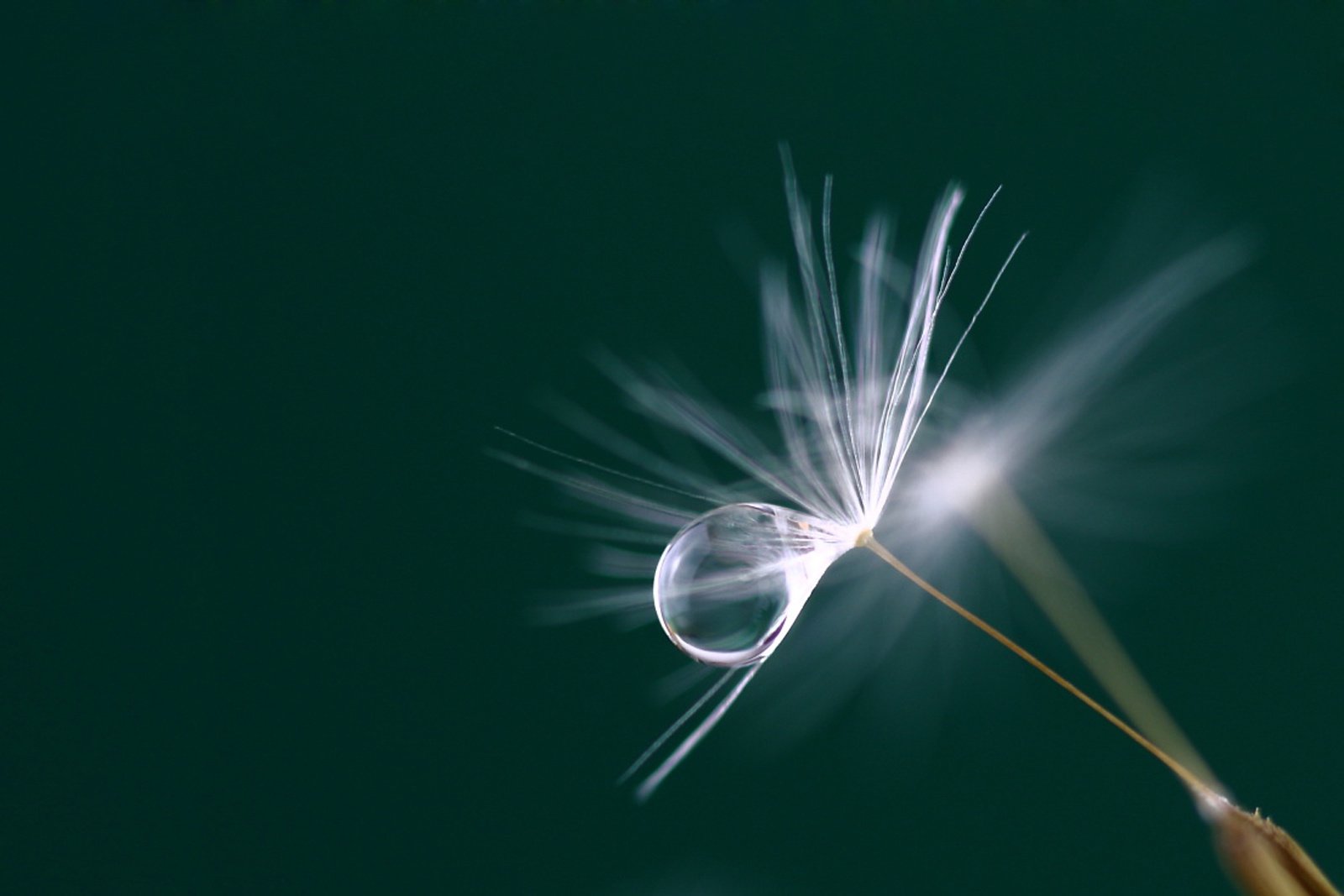 小清新,儿童桌面专用