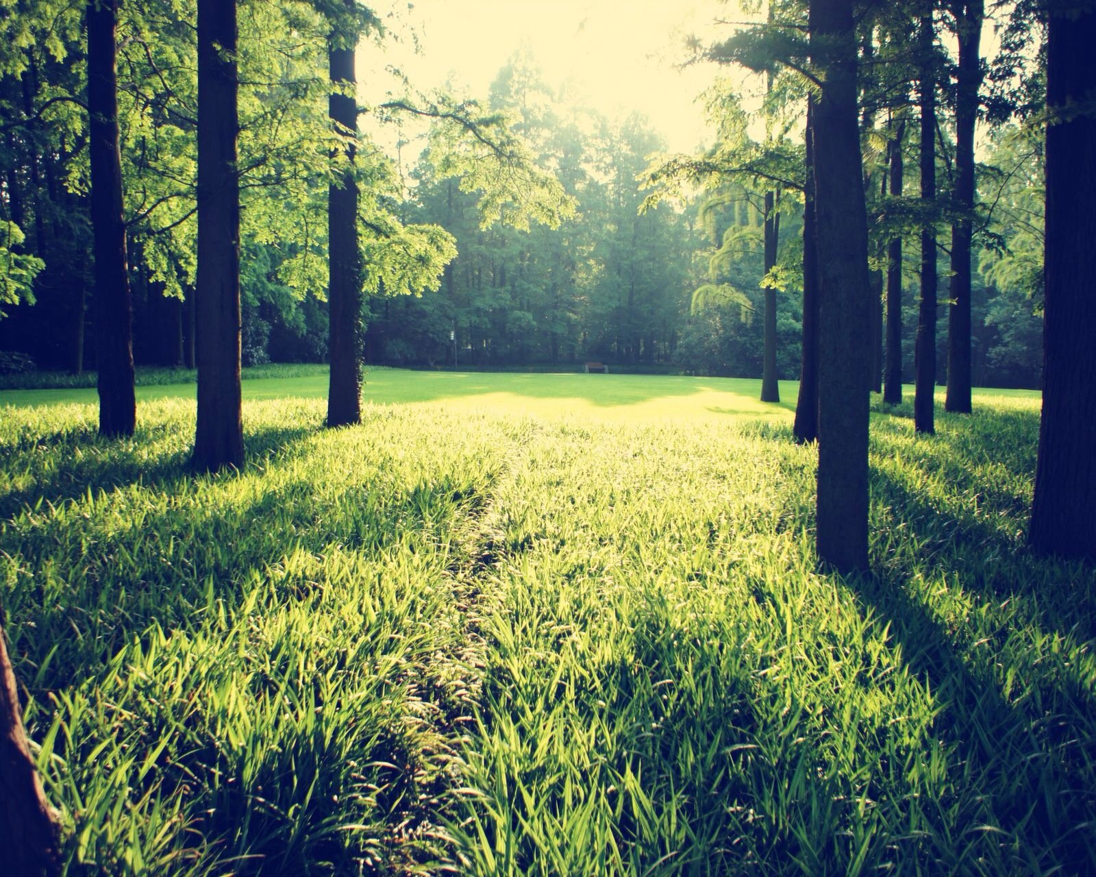 风景,儿童桌面专用