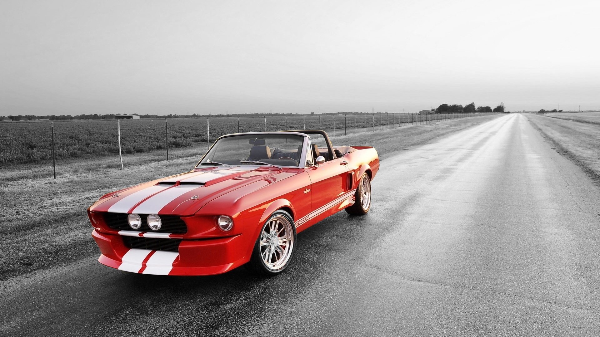 汽车,跑车,酷车,超跑,儿童桌面专用