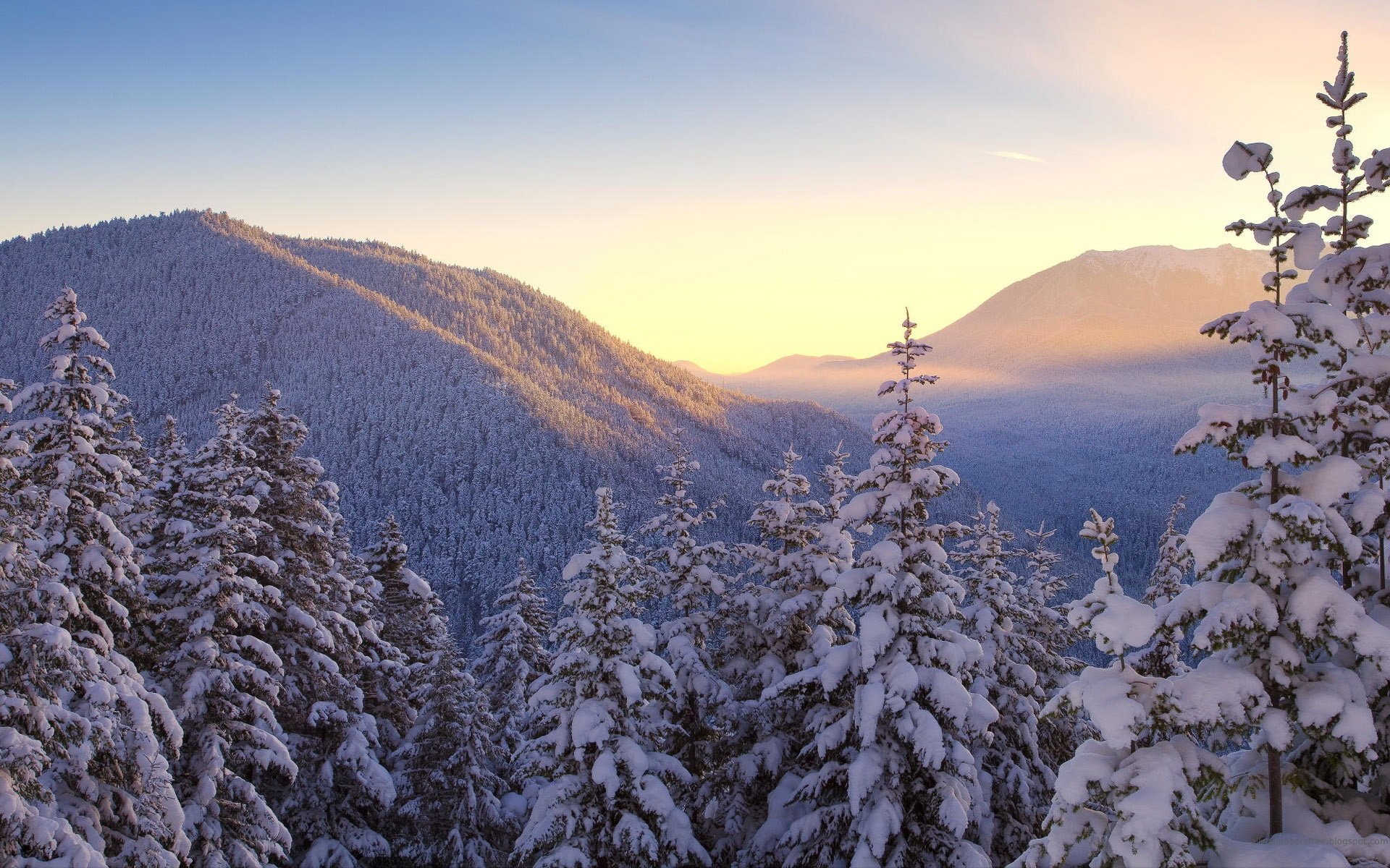 风景,摄影,心旷神怡,唯美,儿童桌面专用