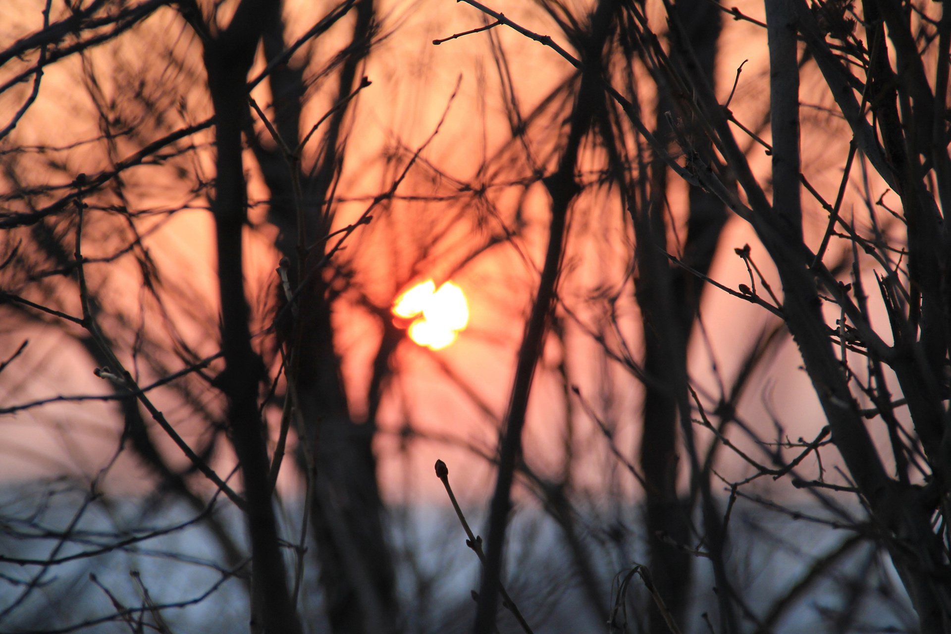 风景,摄影,心旷神怡,儿童桌面专用