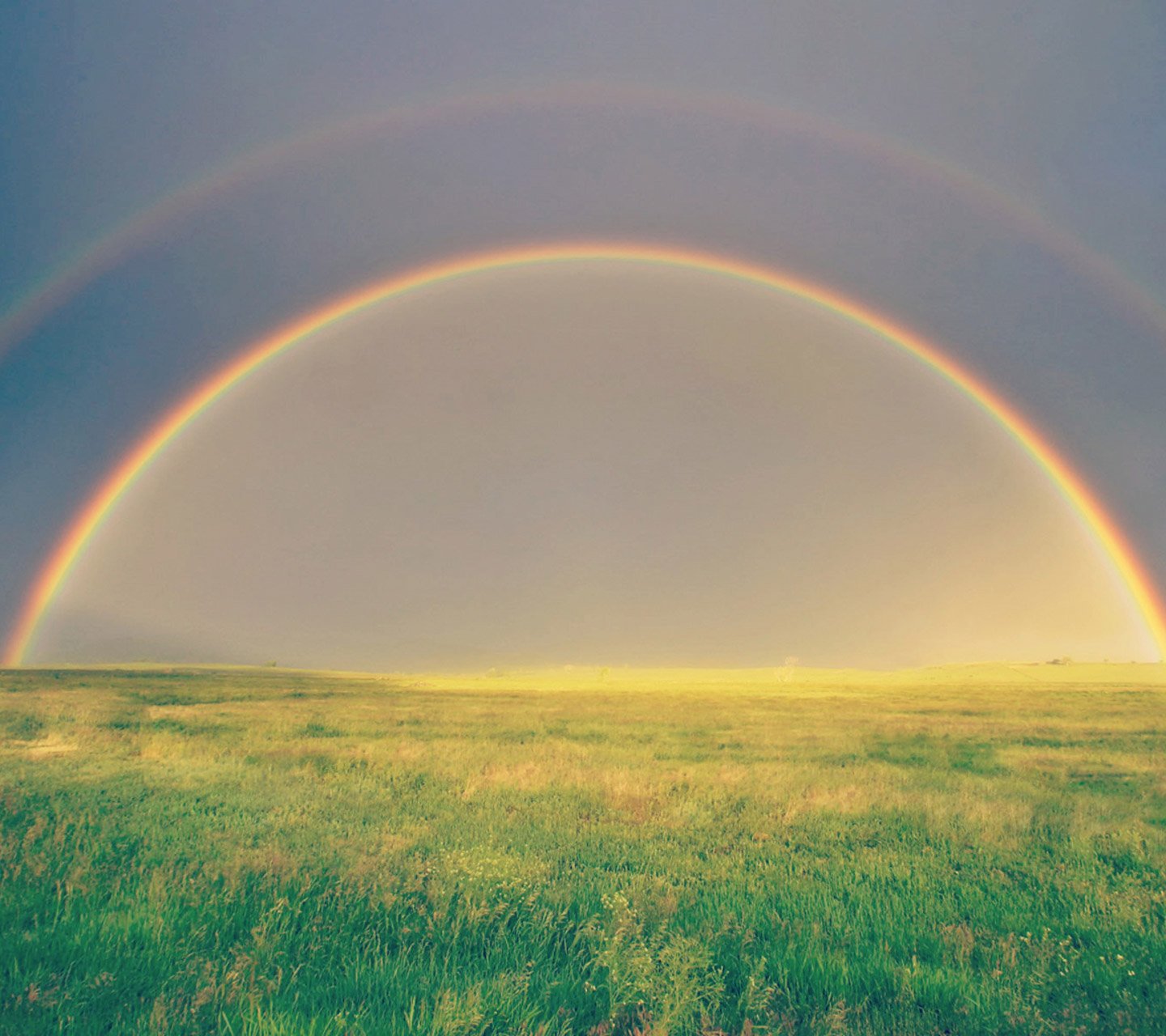 风景,儿童桌面专用