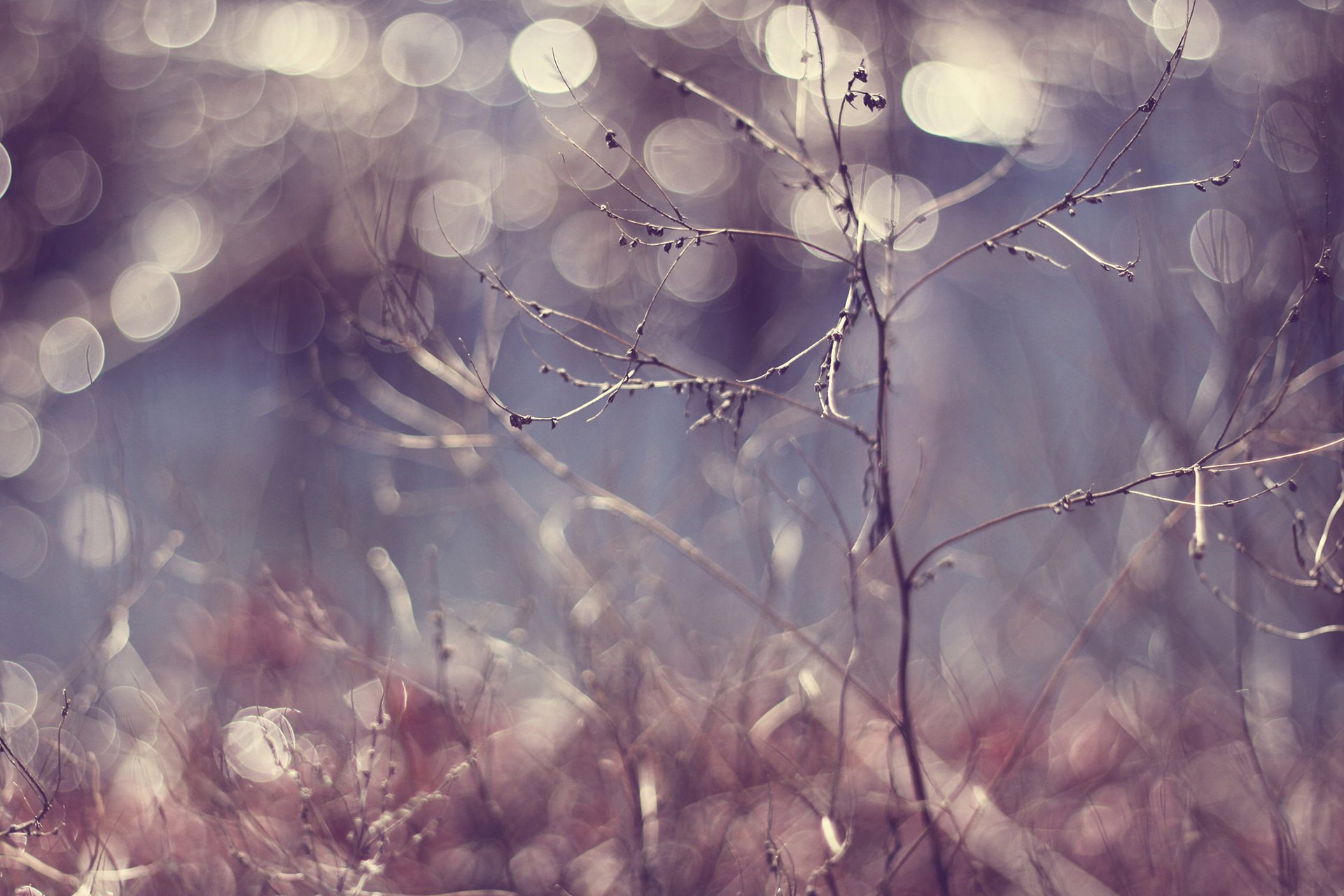 小清新,LOMO,摄影,静物,非主流,文艺