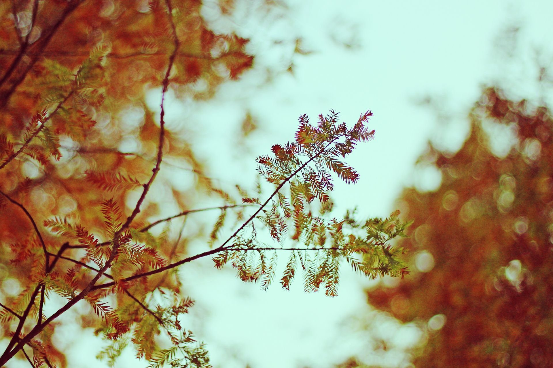 斑驳,风景,怀旧,严宝平,YBP摄影,儿童桌面专用