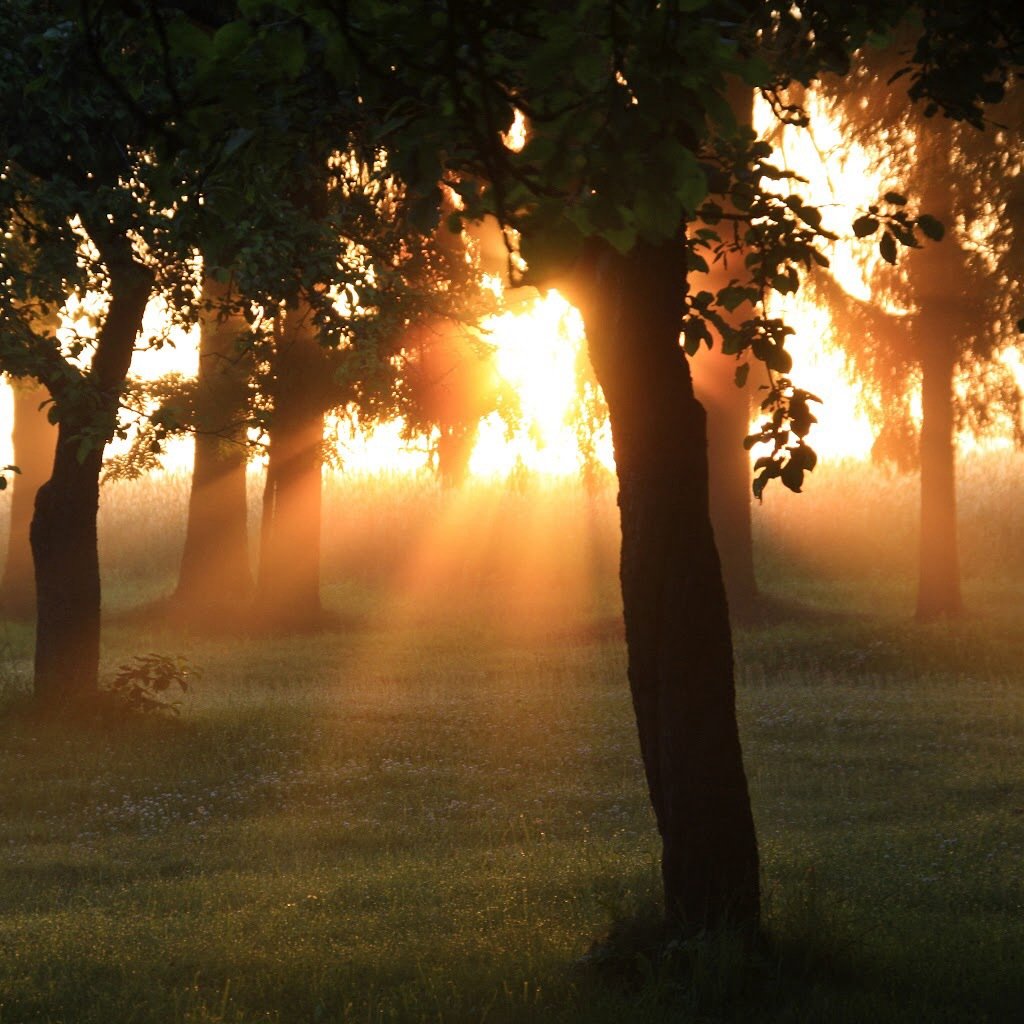 风景,儿童桌面专用