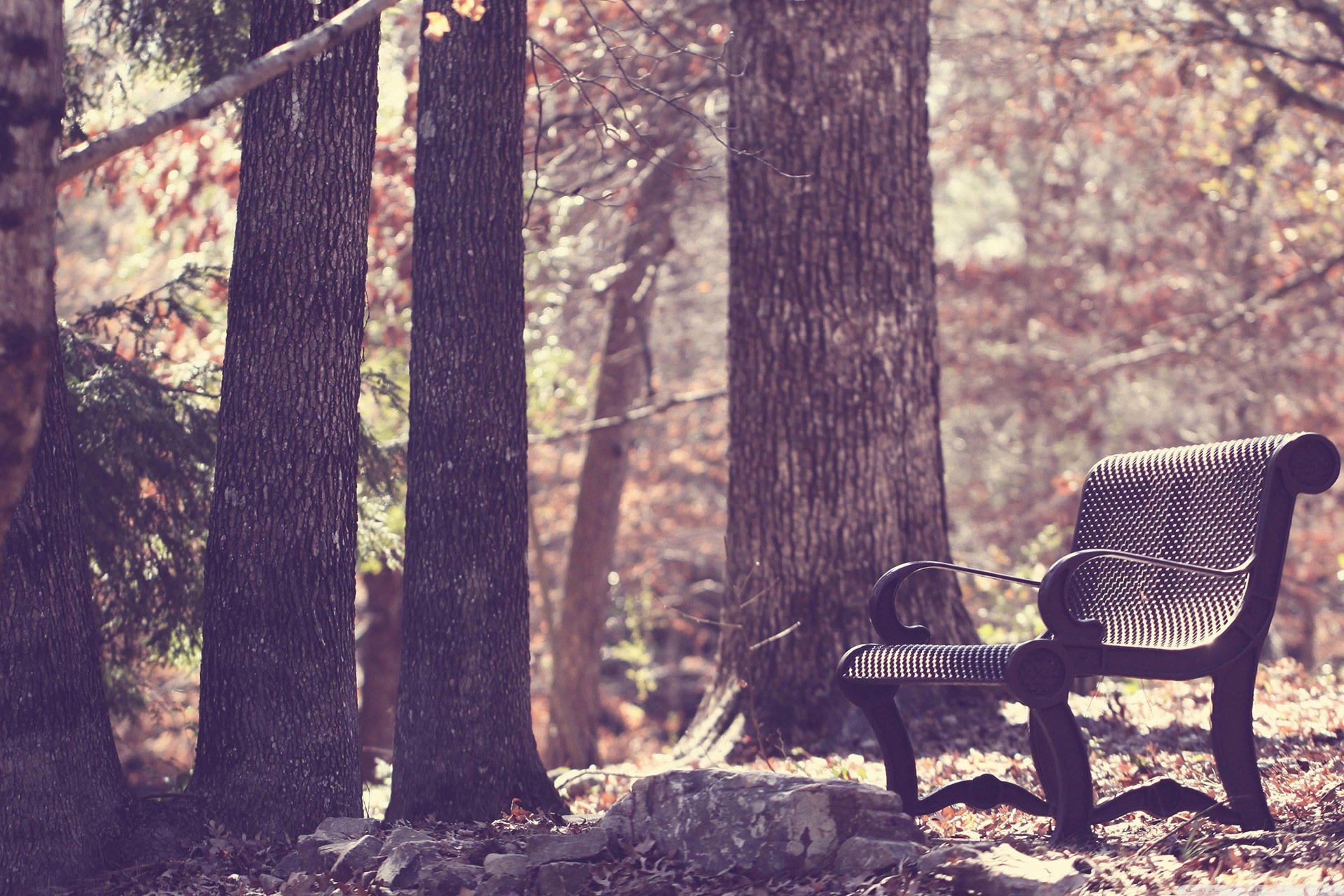 小清新,LOMO,摄影,静物,非主流,文艺