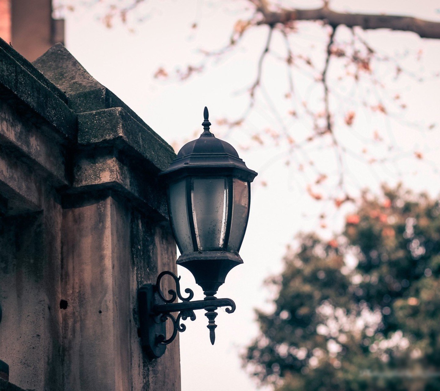 风景,儿童桌面专用