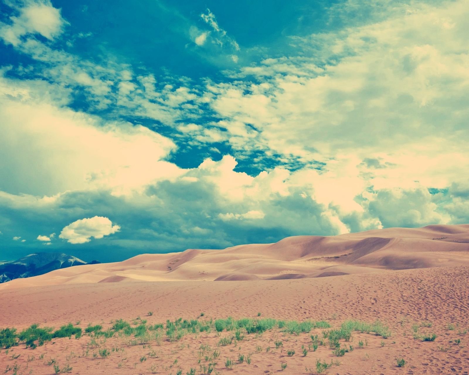风景,儿童桌面专用