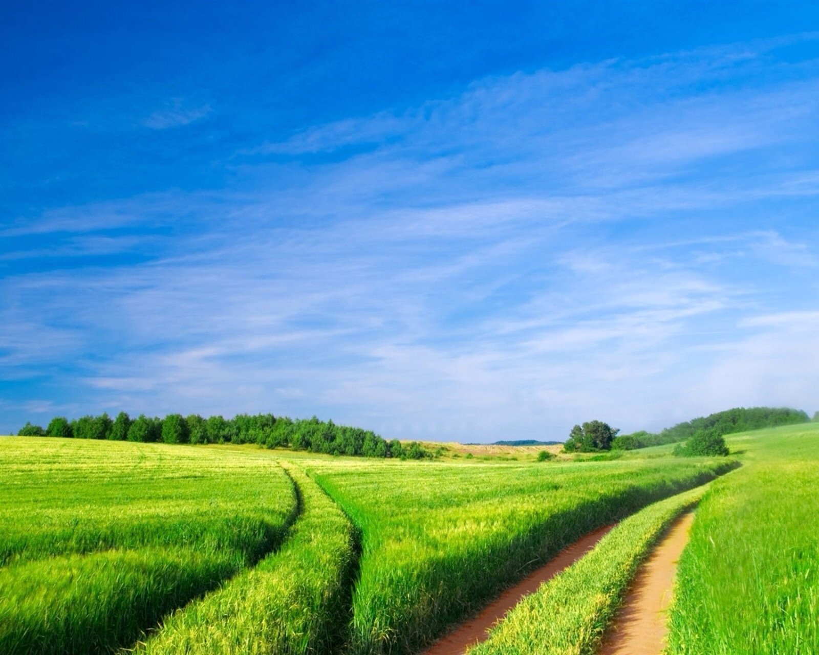风景,儿童桌面专用