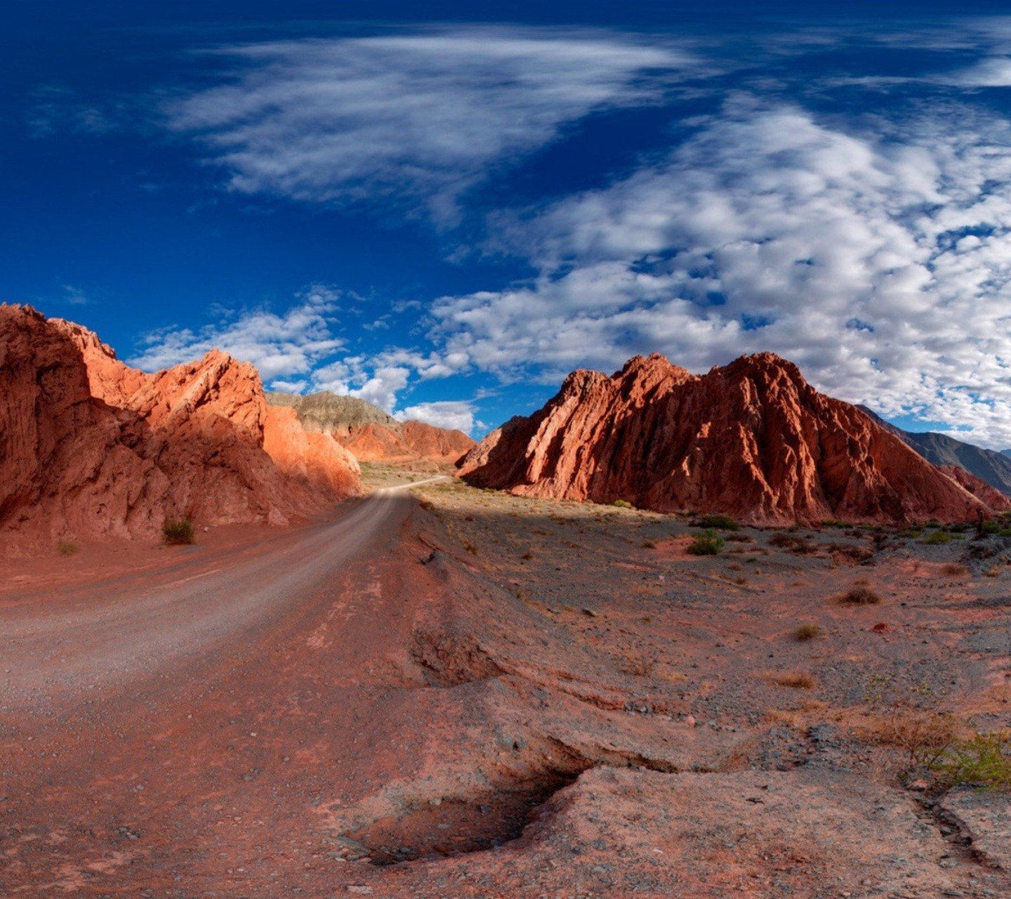 风景,儿童桌面专用