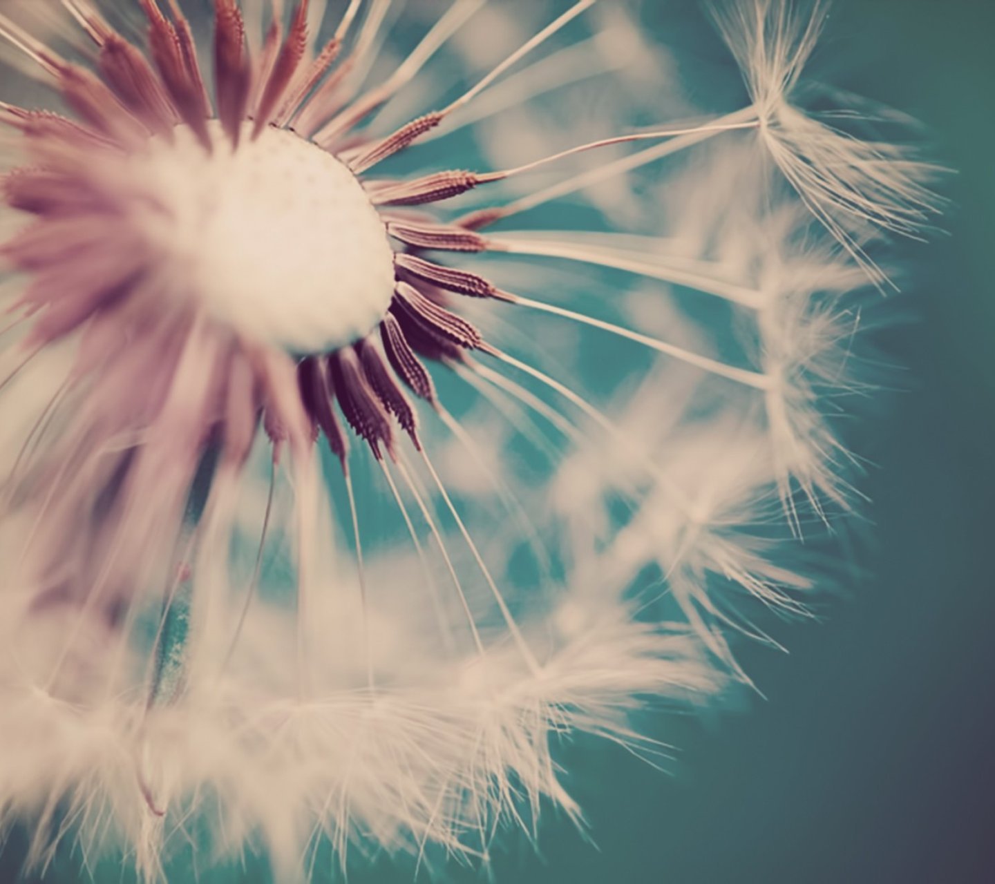 小清新,儿童桌面专用