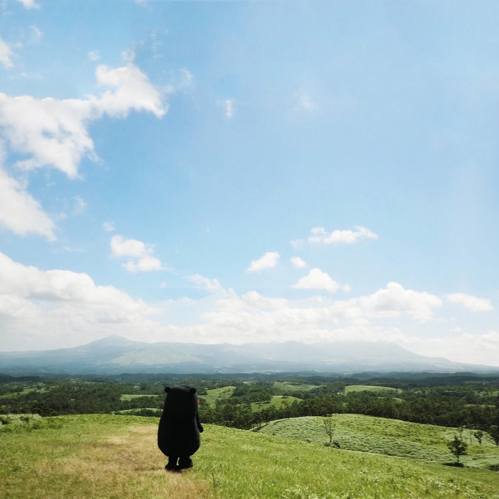 风景,儿童桌面专用