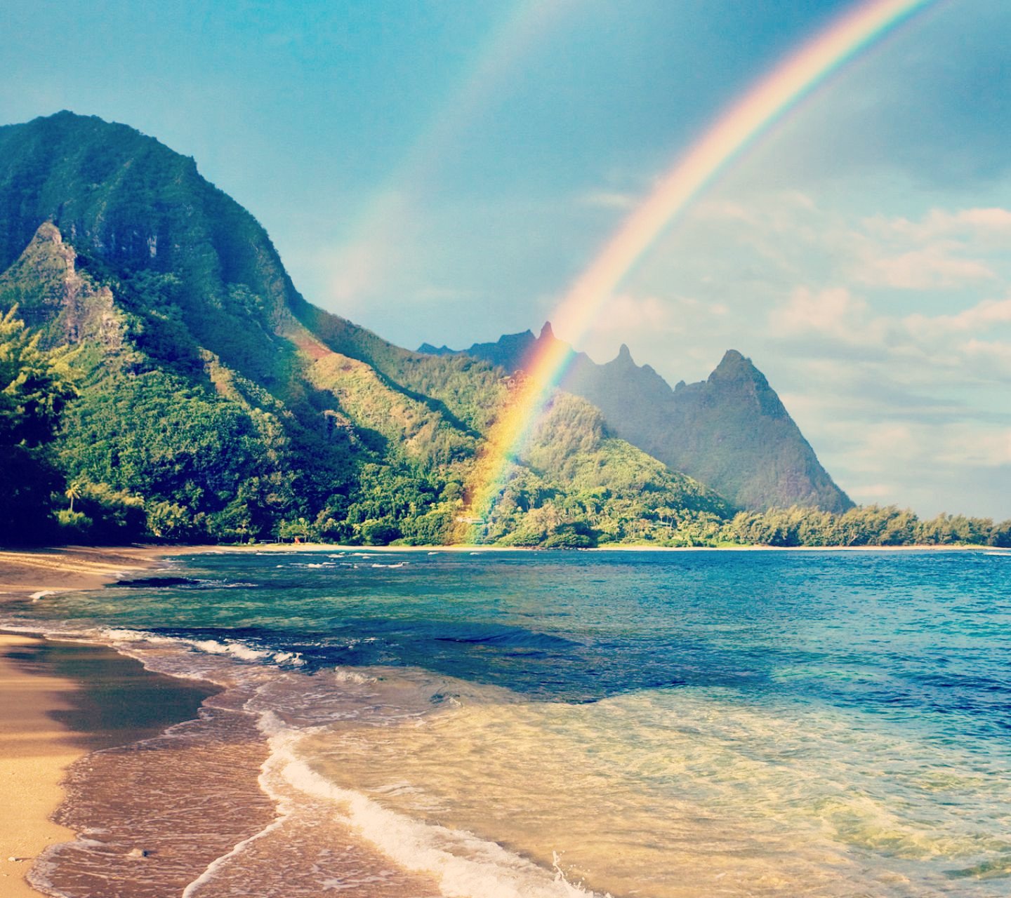 风景,儿童桌面专用