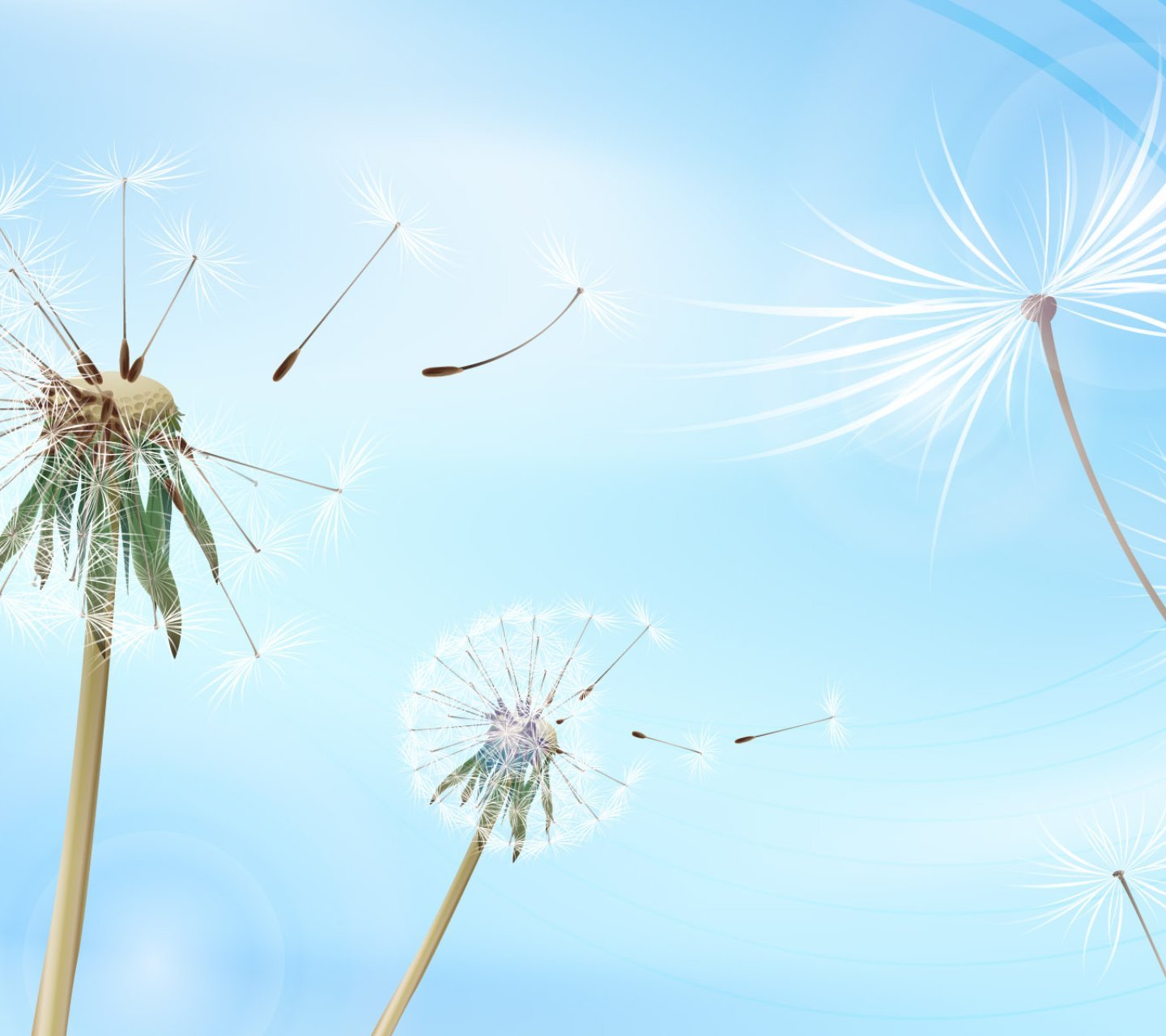 小清新,儿童桌面专用