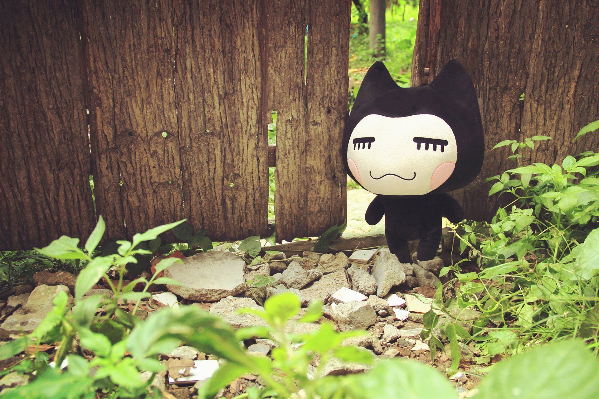 小左小右,小清新,摄影,儿童桌面专用