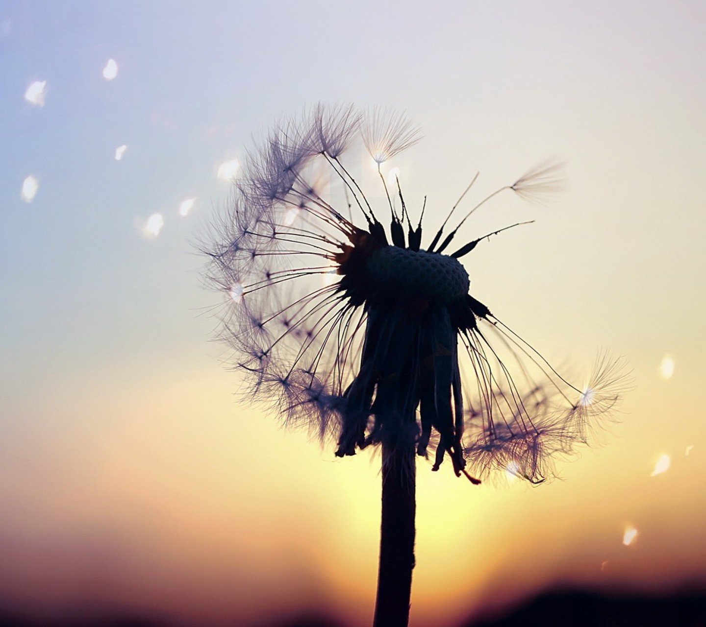 小清新,儿童桌面专用