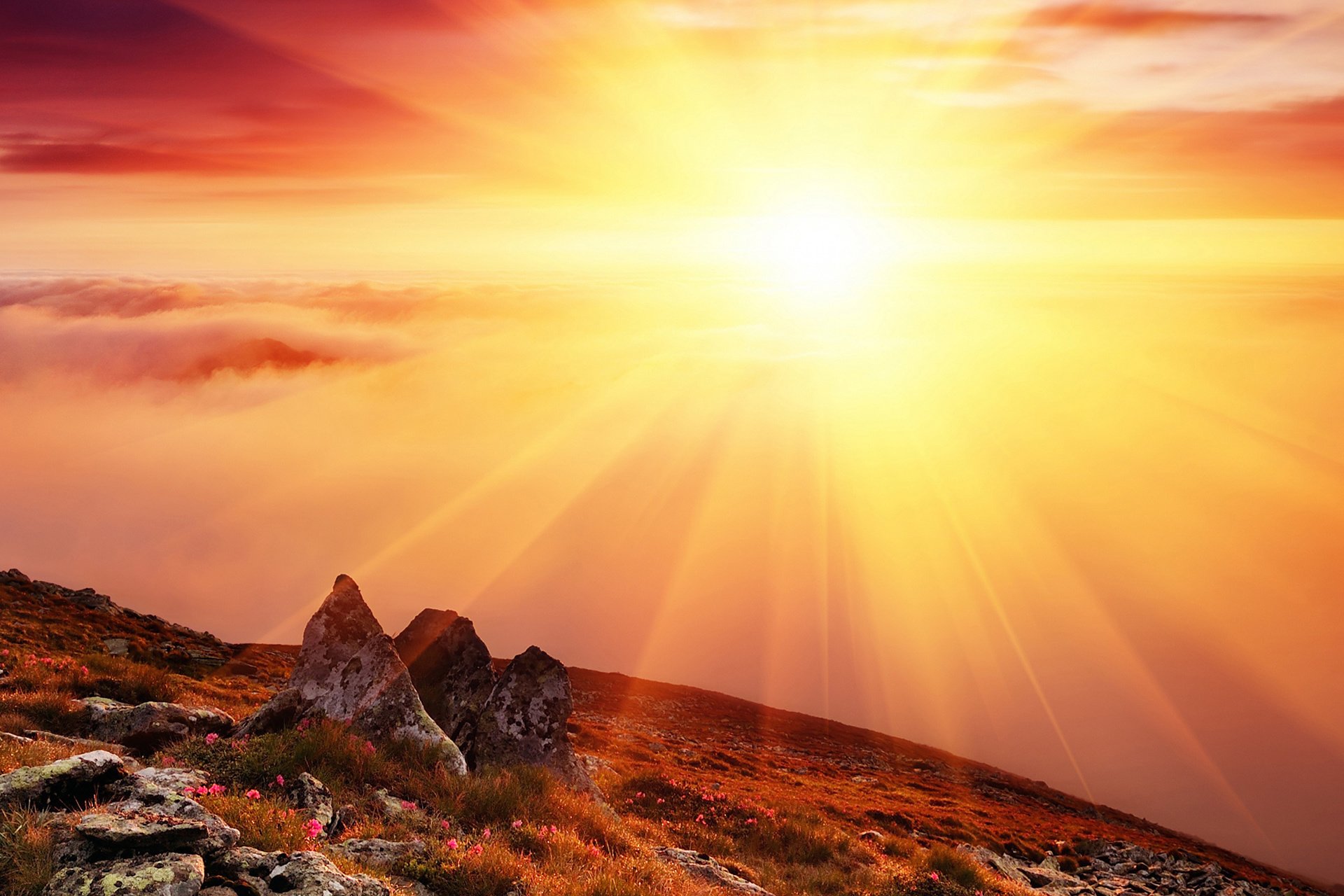 风景,摄影,心旷神怡,儿童桌面专用