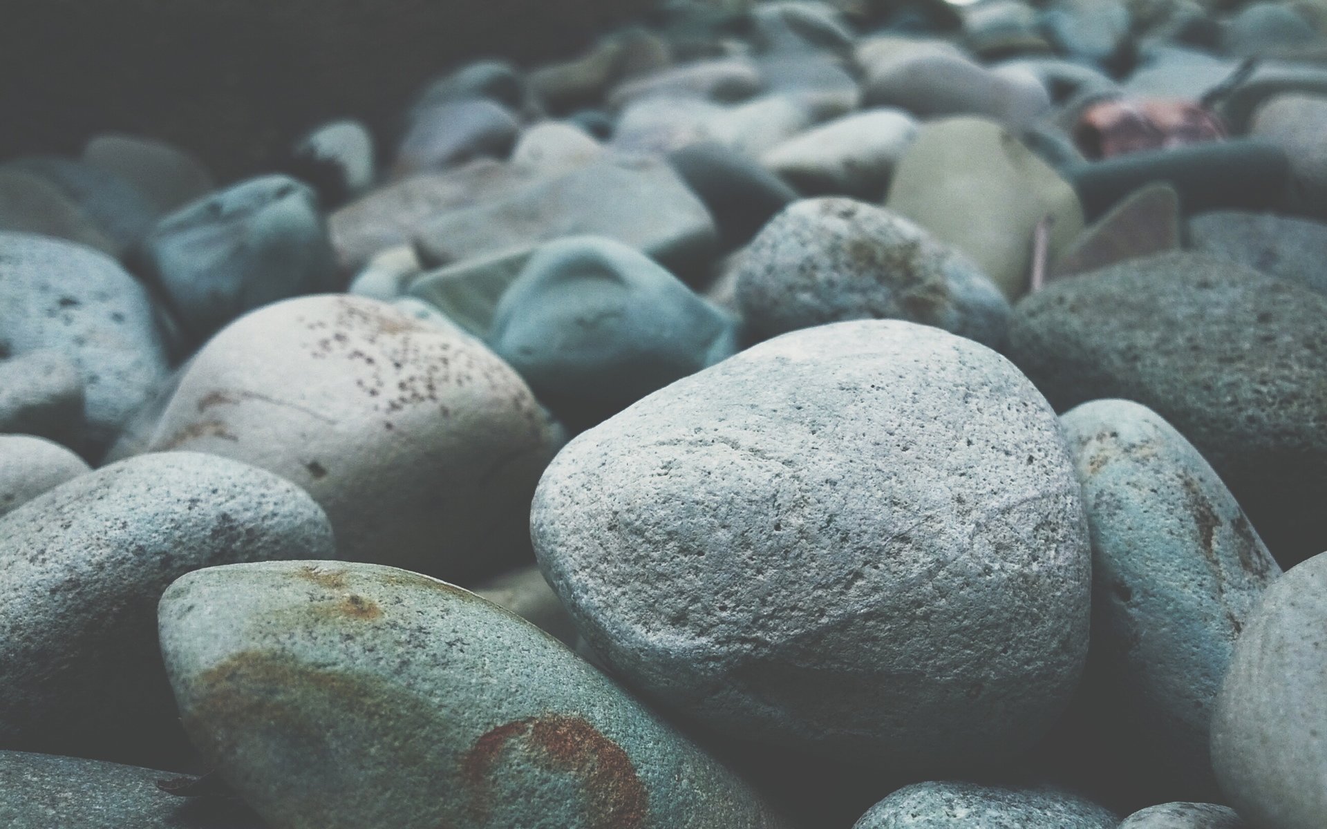 小清新,儿童桌面专用