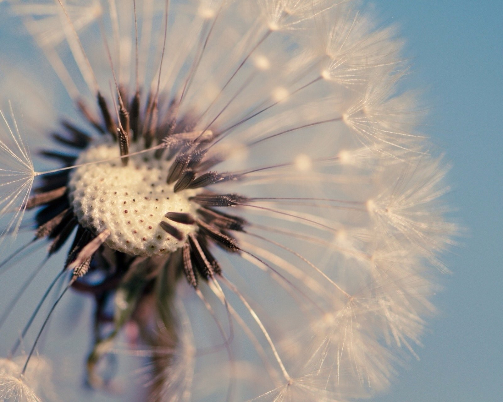 小清新,儿童桌面专用