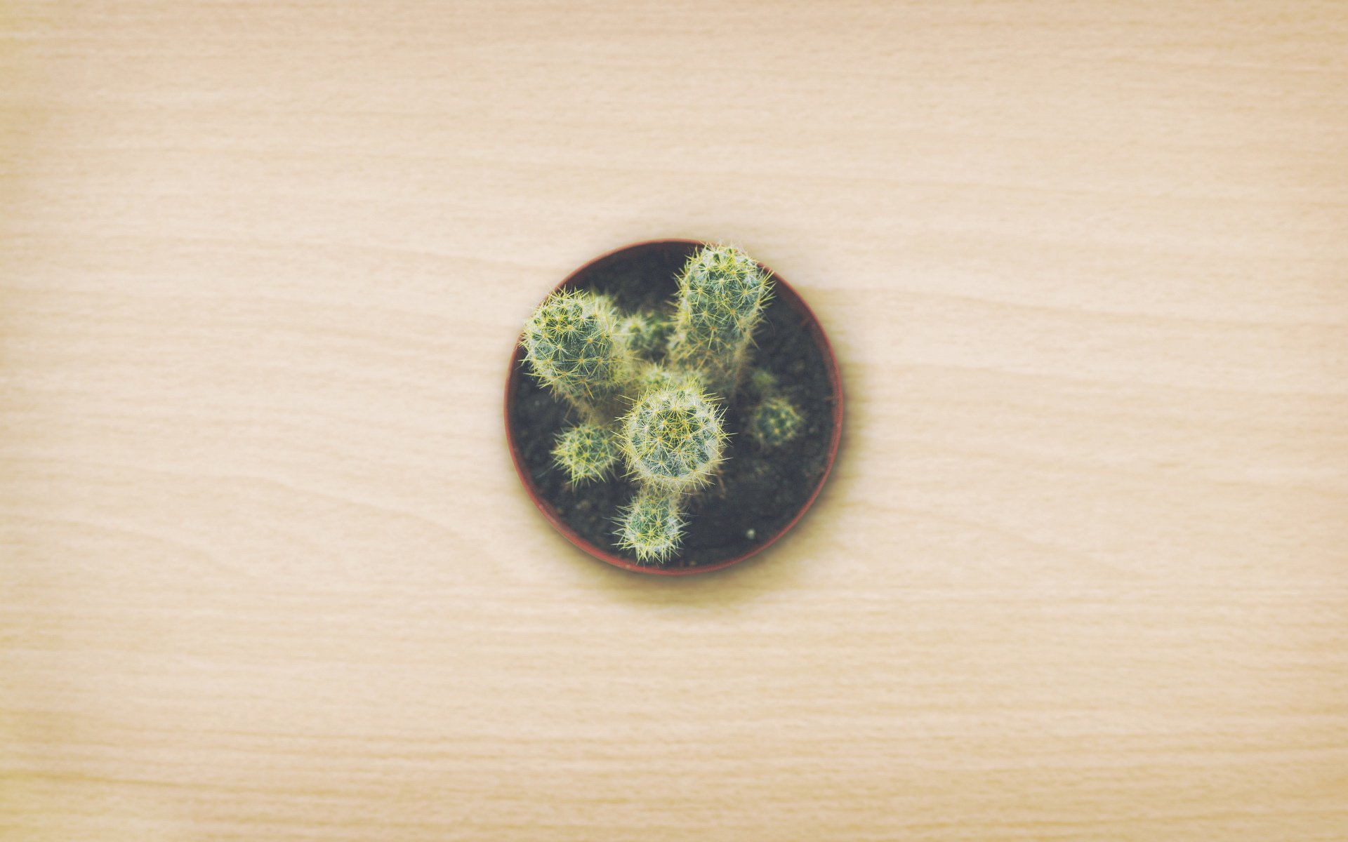 创意,儿童桌面专用