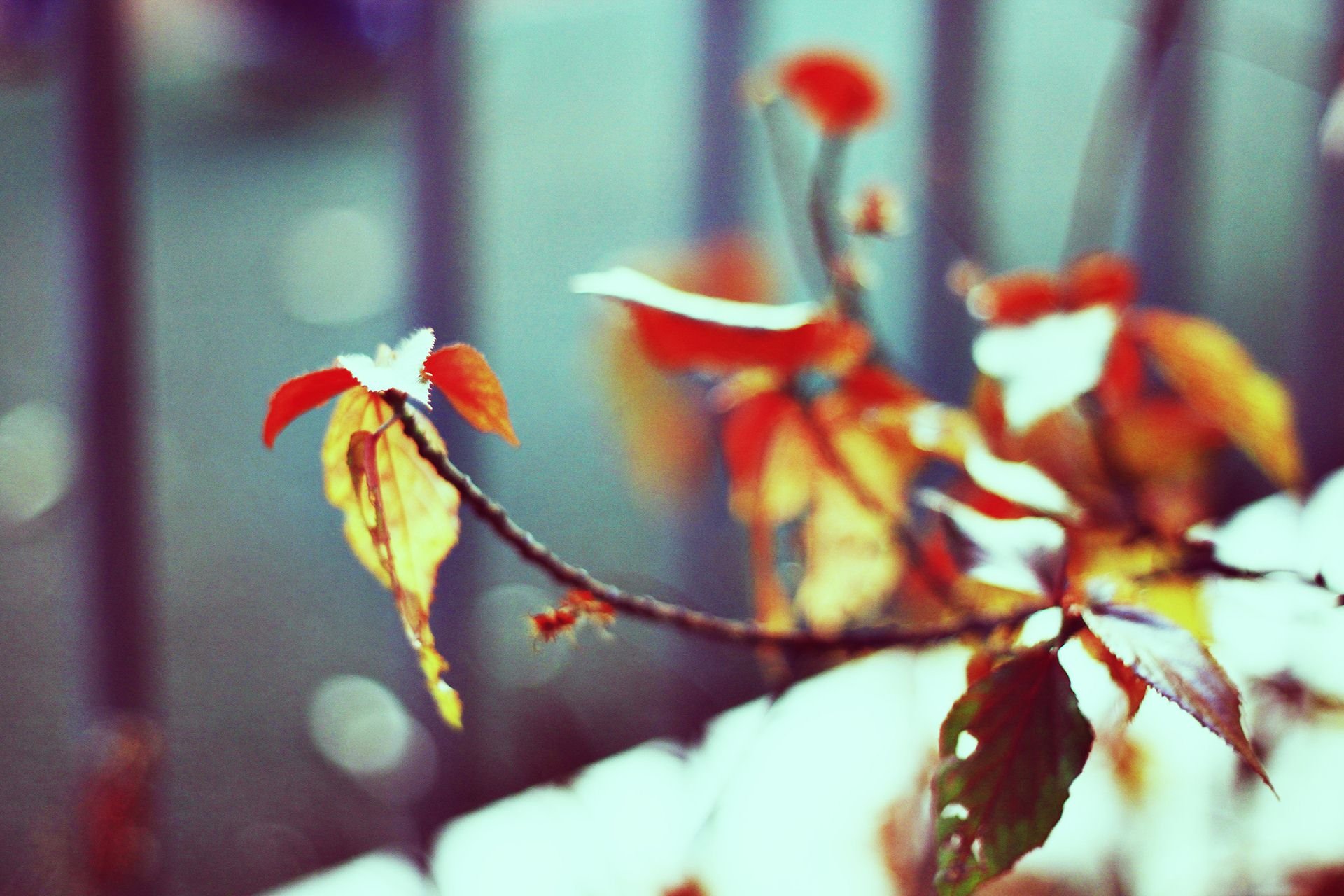 斑驳,风景,怀旧,严宝平,YBP摄影,儿童桌面专用