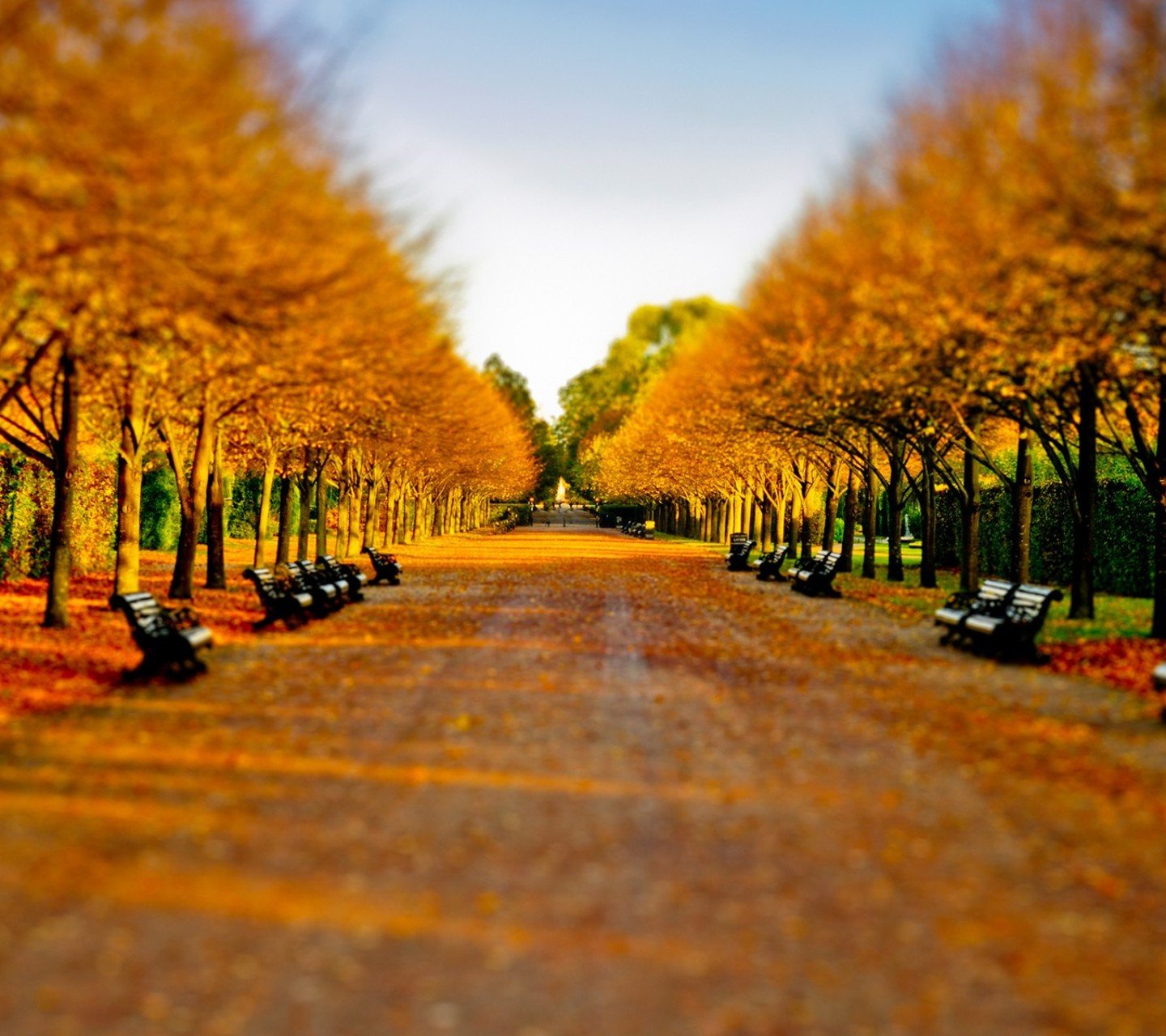 风景,儿童桌面专用