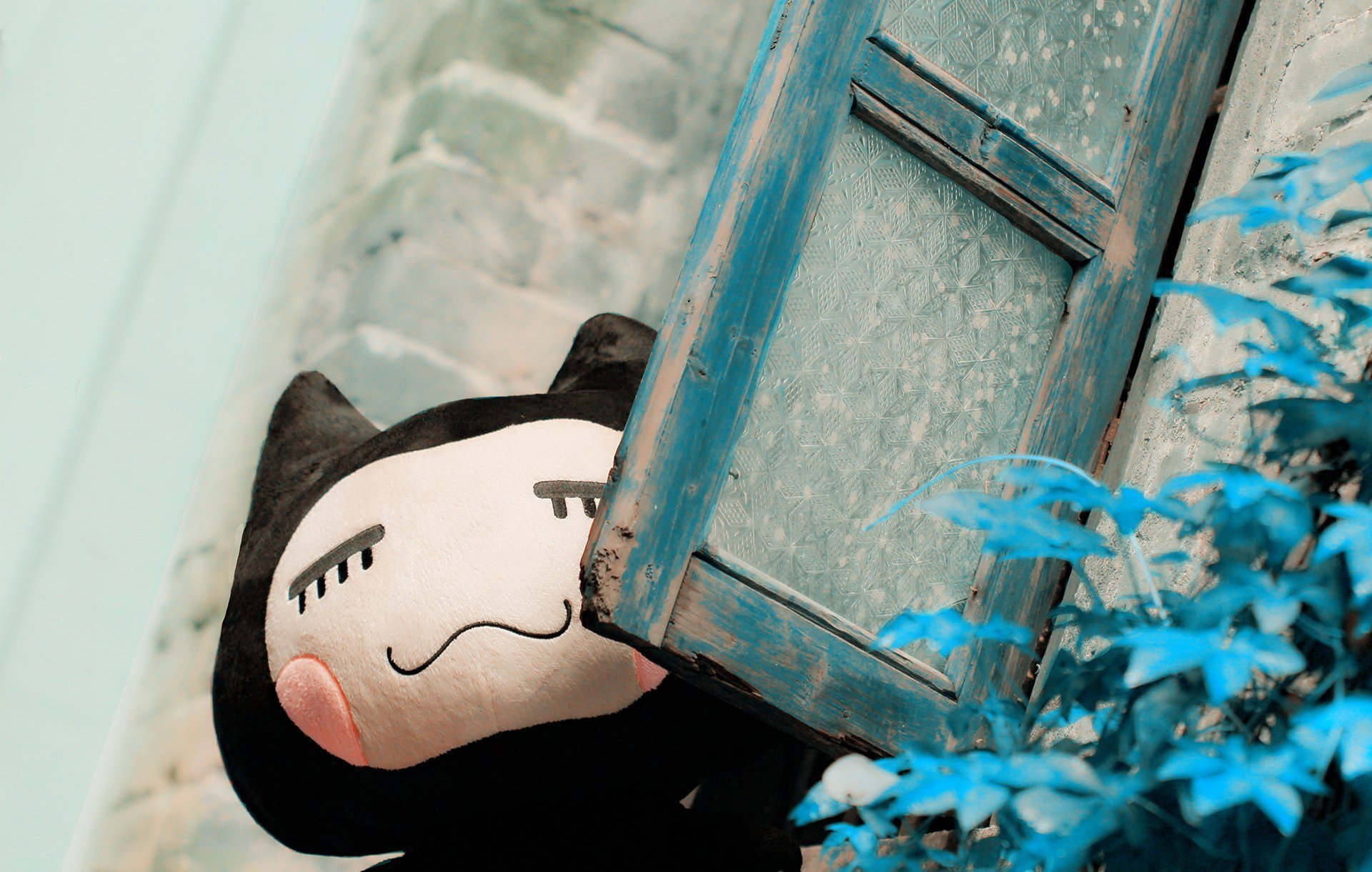 小左小右,小清新,摄影,儿童桌面专用