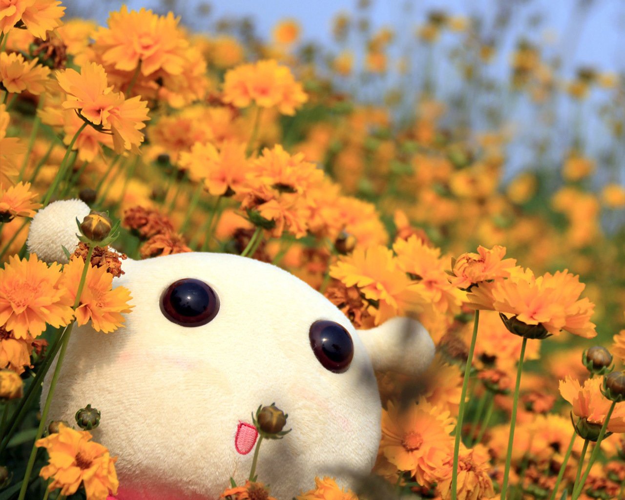 小清新,儿童桌面专用