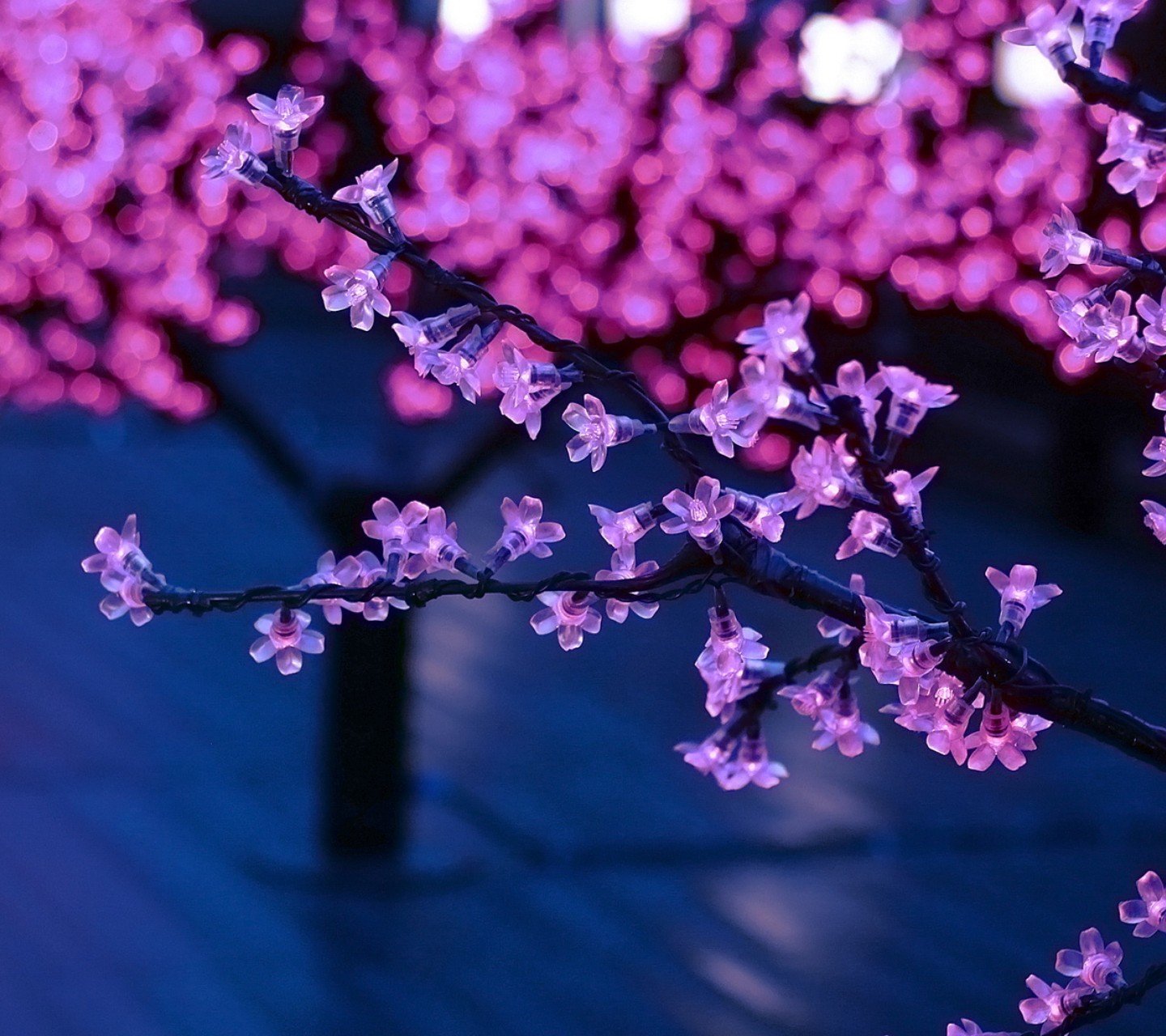 风景,儿童桌面专用