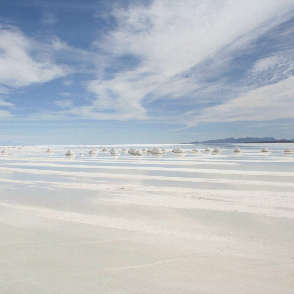 风景,儿童桌面专用