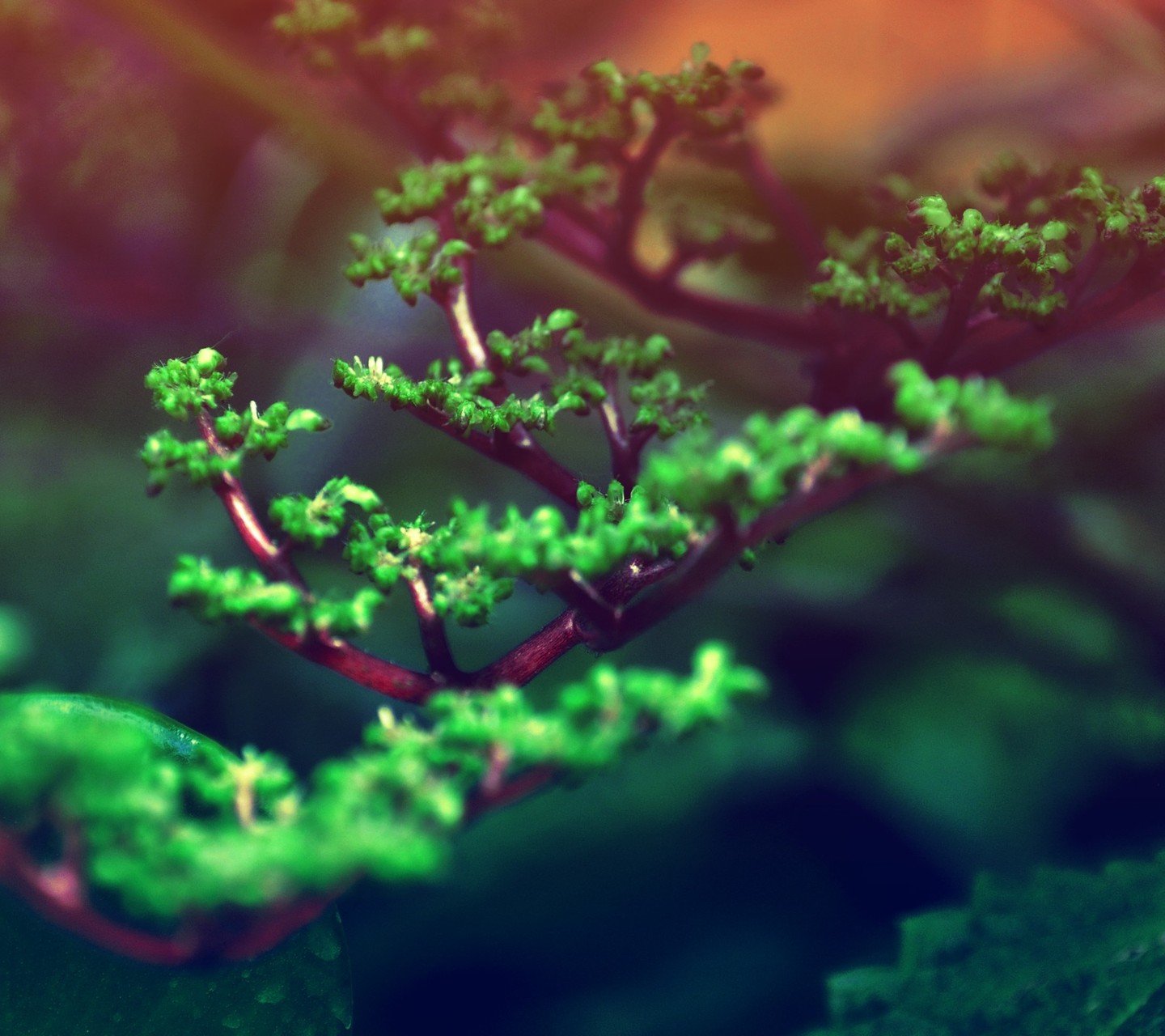 小清新,儿童桌面专用