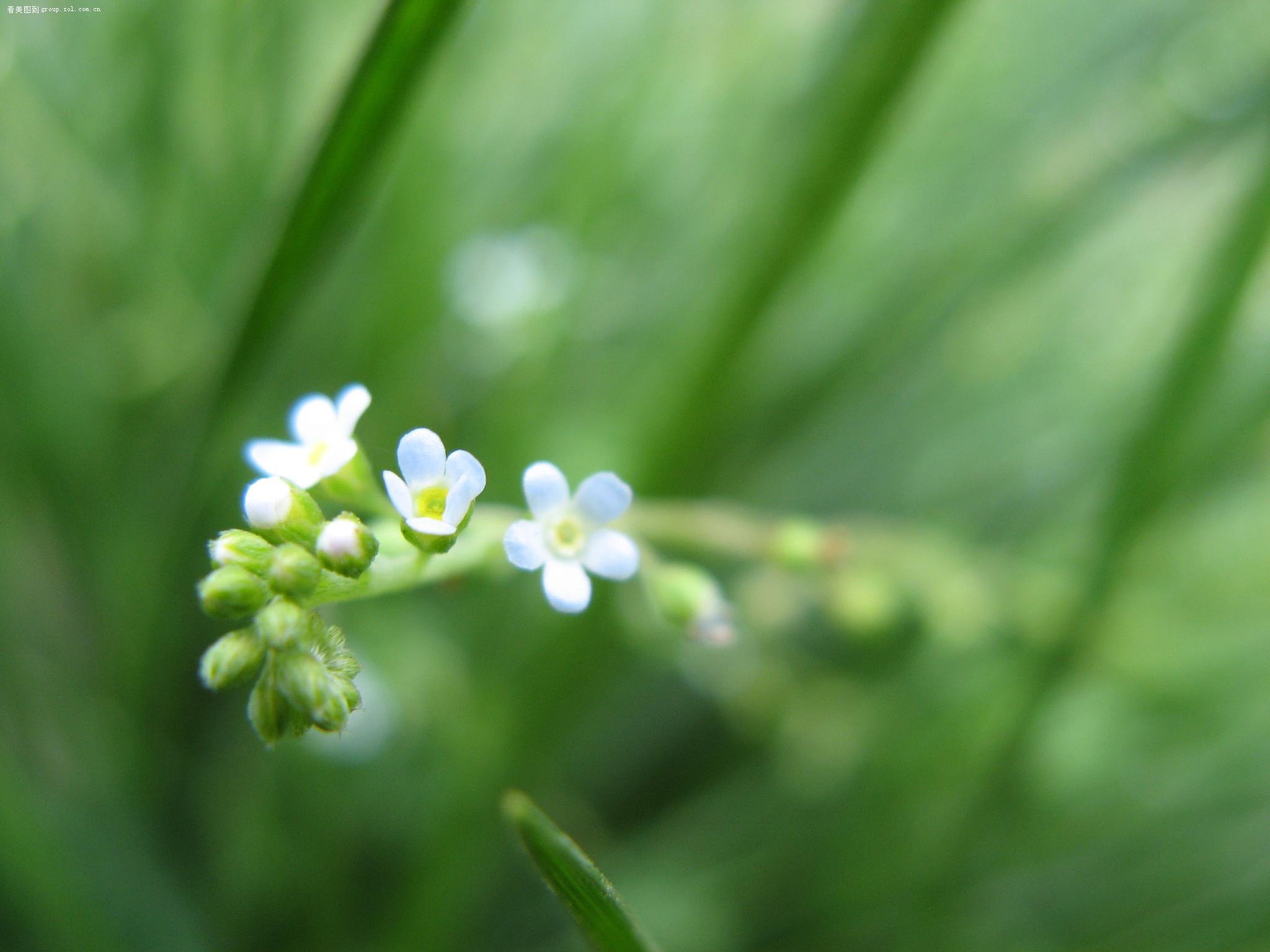 小清新,儿童桌面专用