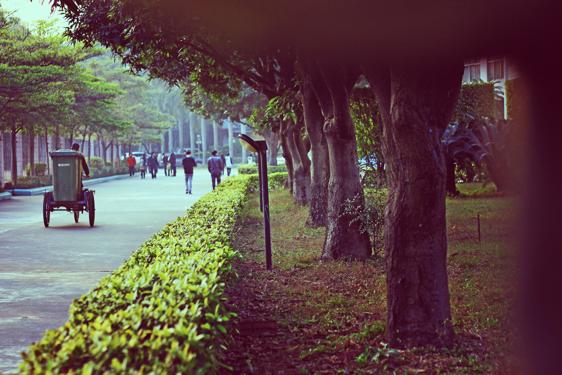 风景,儿童桌面专用