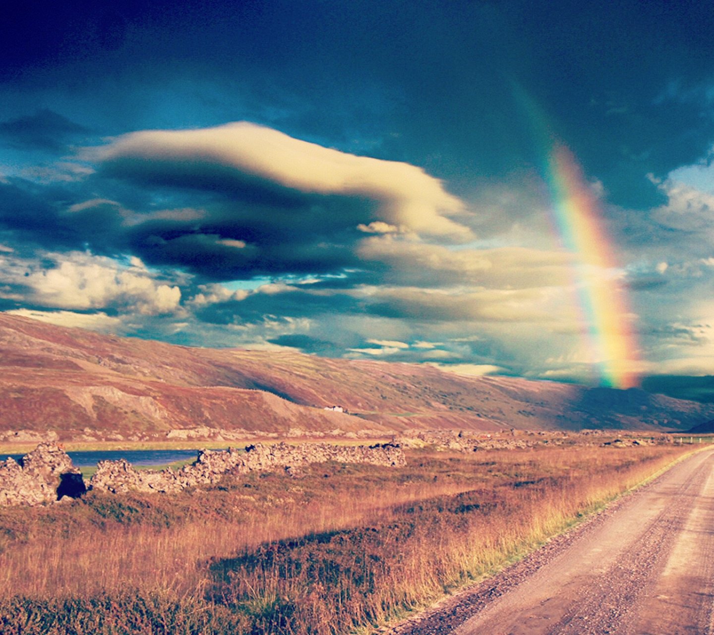 风景,儿童桌面专用