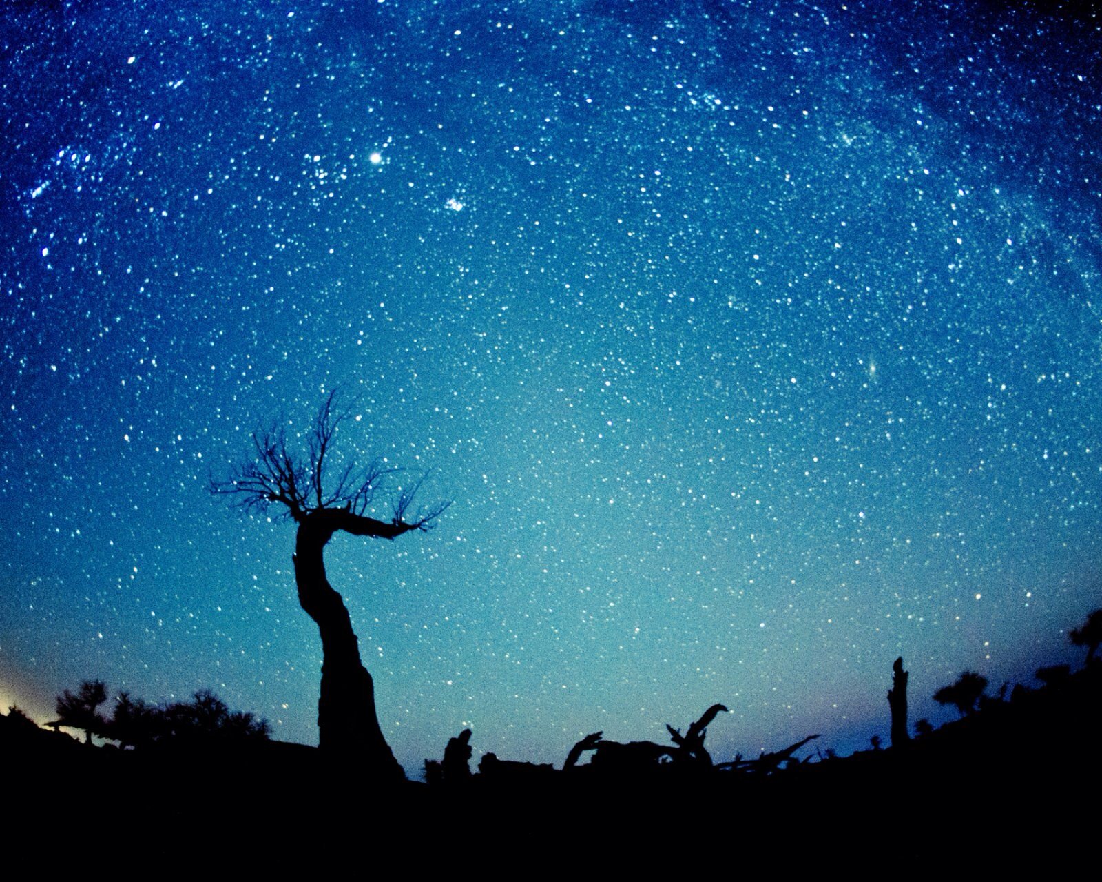 风景,儿童桌面专用