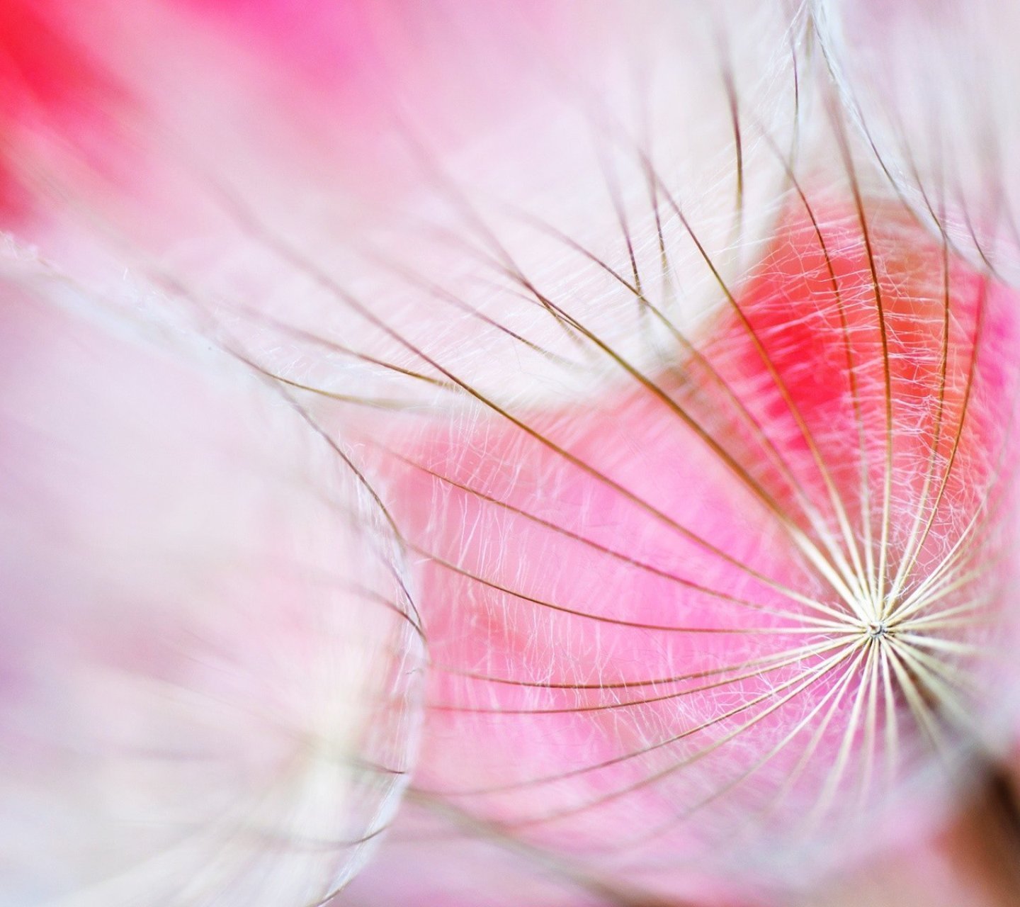 小清新,儿童桌面专用