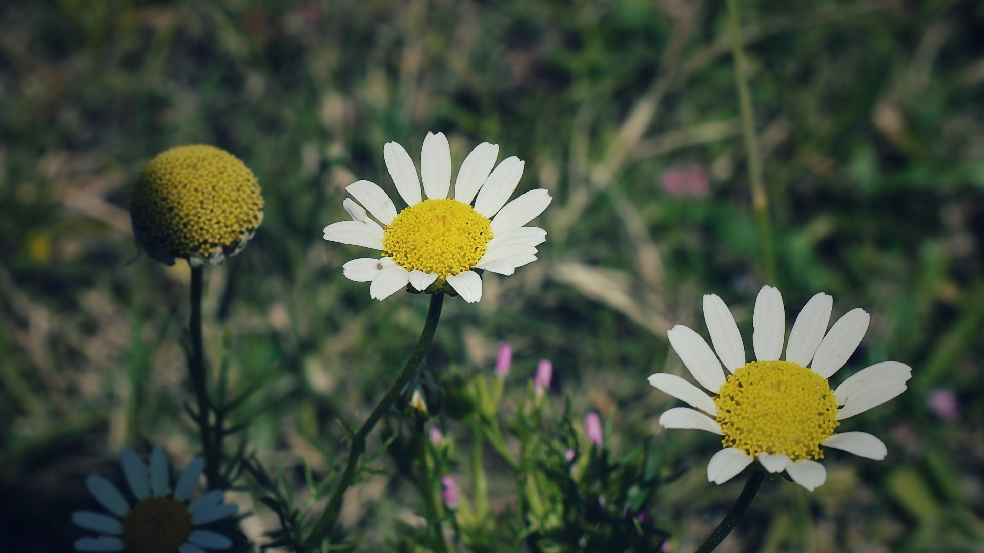 小清新,非主流,LOMO,意境,摄影,儿童桌面专用