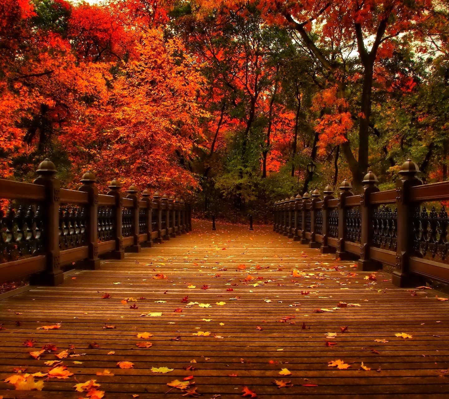 风景,儿童桌面专用