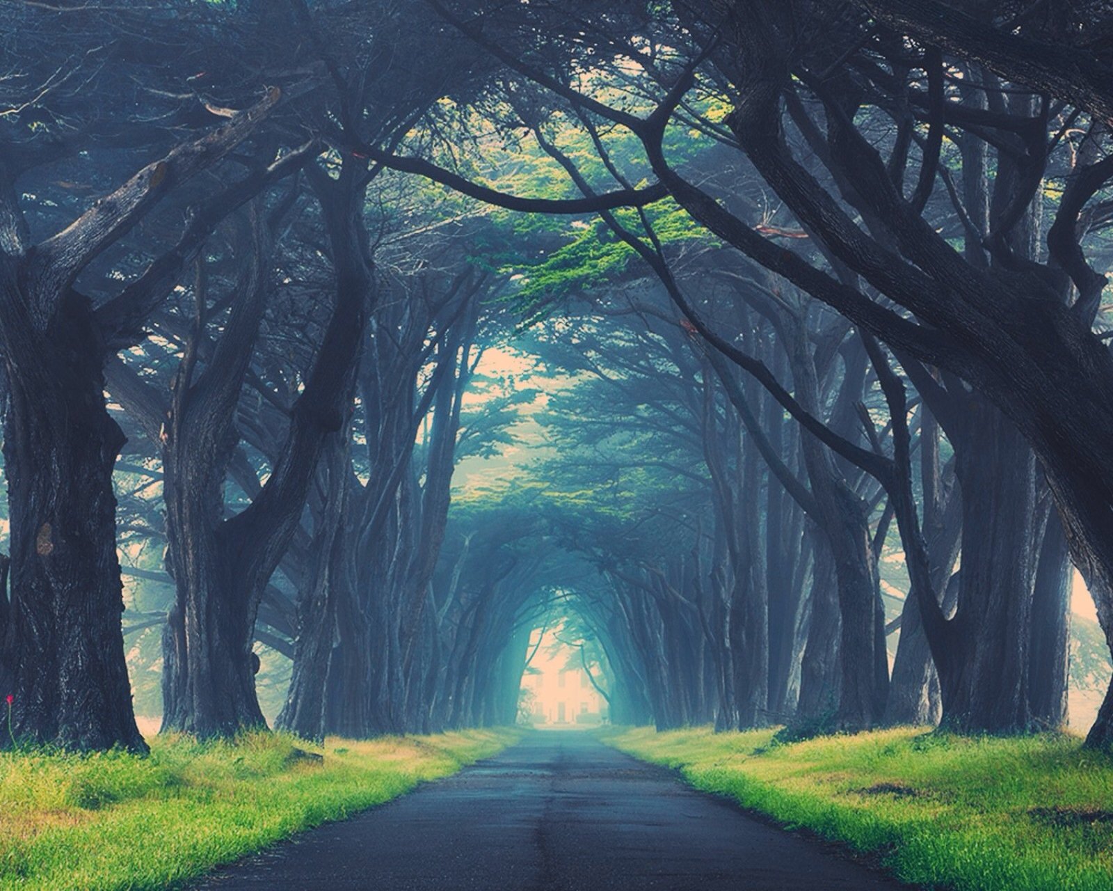 风景,儿童桌面专用