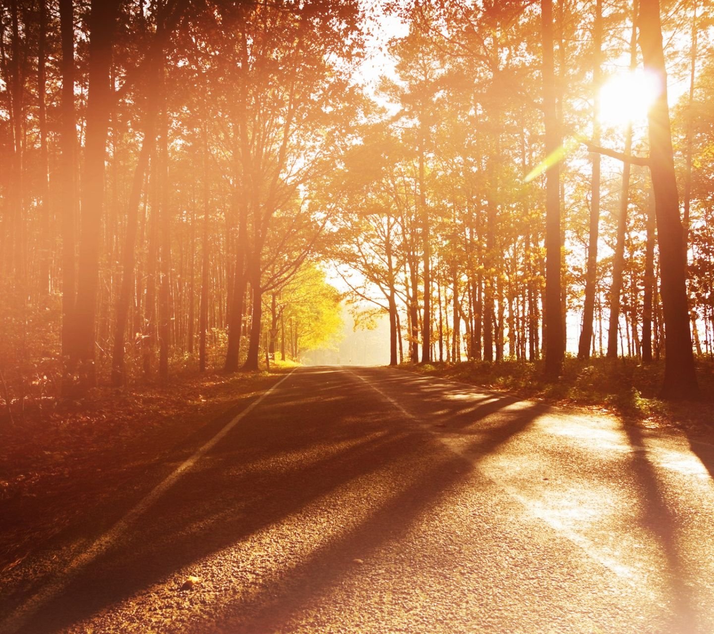 风景,儿童桌面专用