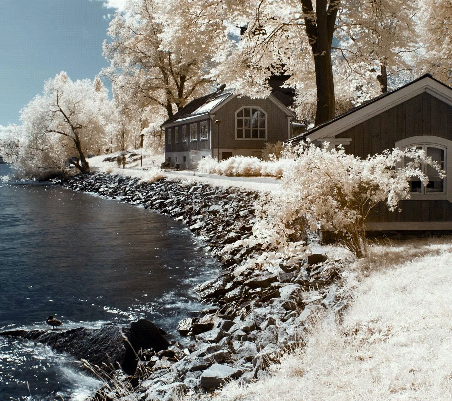 风景,儿童桌面专用