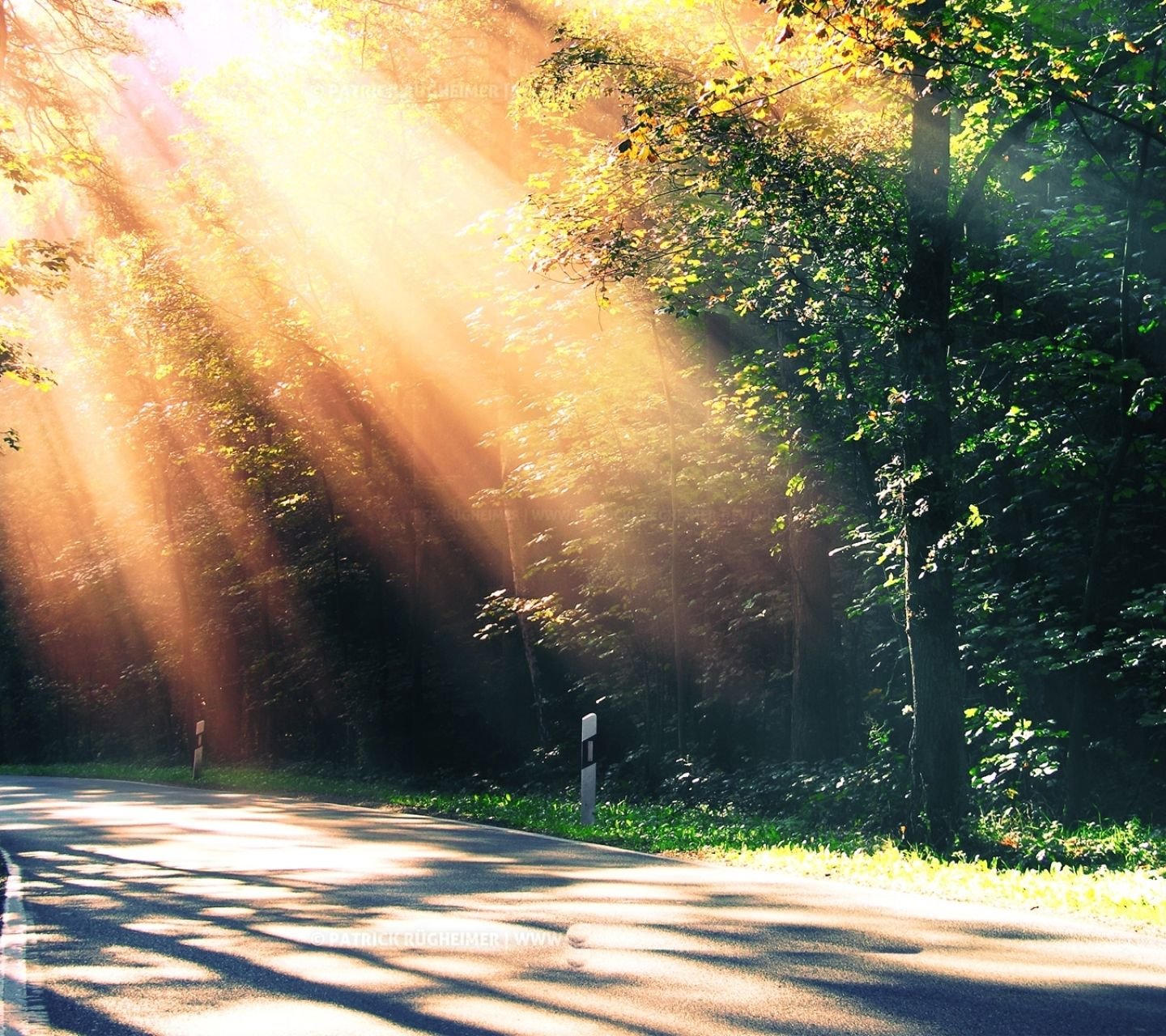 风景,儿童桌面专用