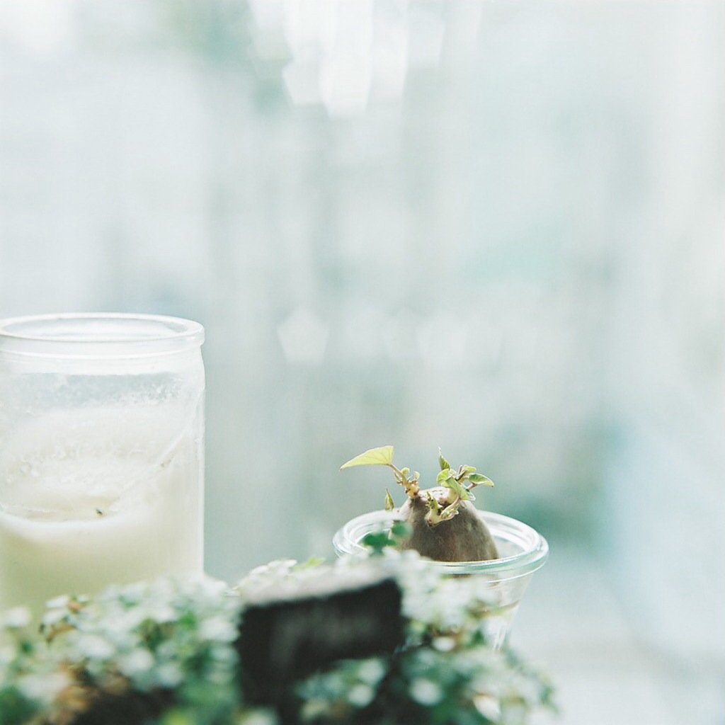 小清新,儿童桌面专用