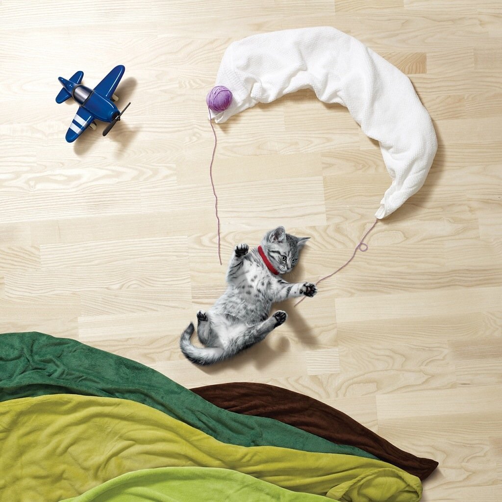 萌宠,儿童桌面专用